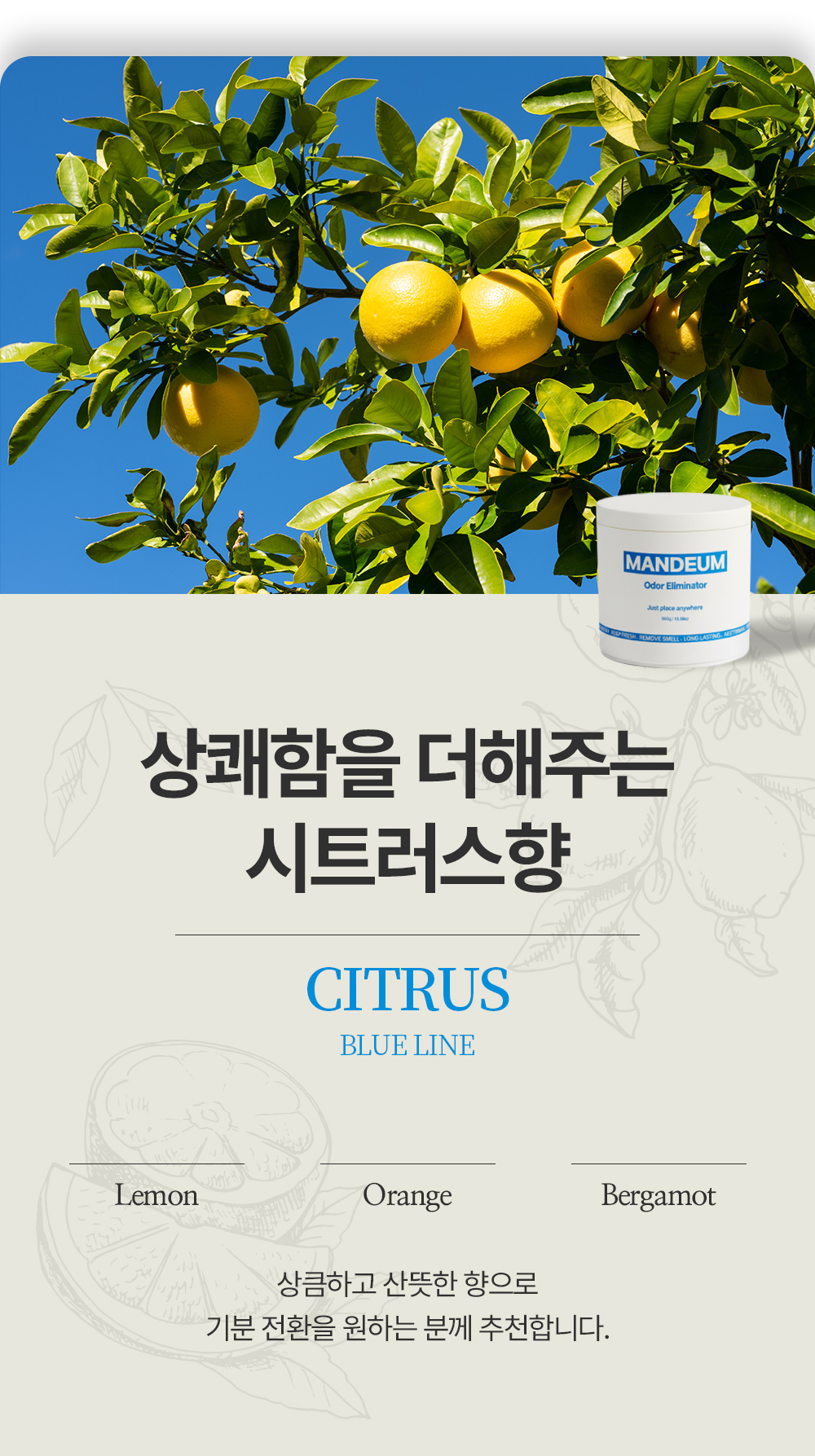 만듬 초강력 실내 고체 탈취제