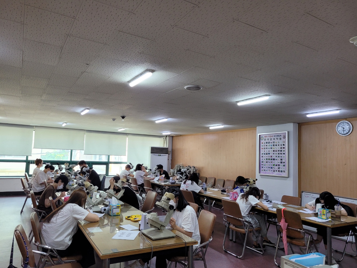 4231abfa9abb8.jpg