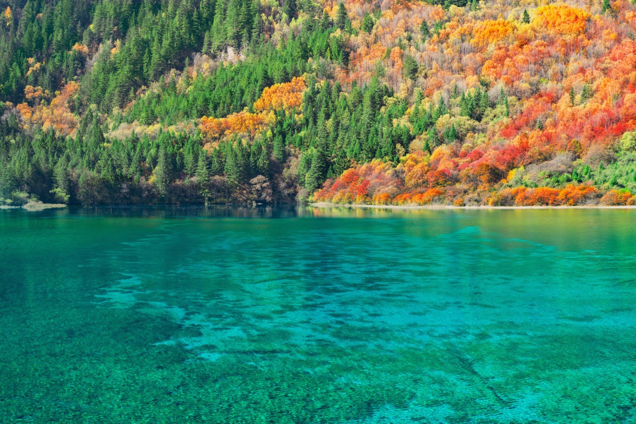 서안 구채구 에어부산