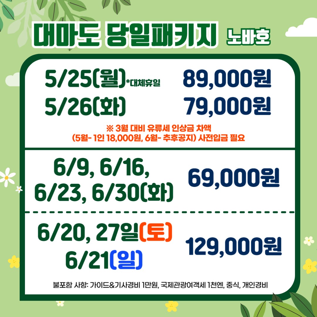 대마도 노바호 1일 패키지 #가성비추천#당일치기# 당일여행