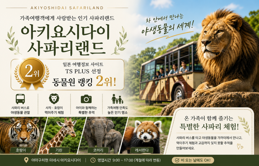 부관훼리 워킹맘투어 3박4일 사파리랜드 아키요시다이 산리오 하모니랜드 패키지