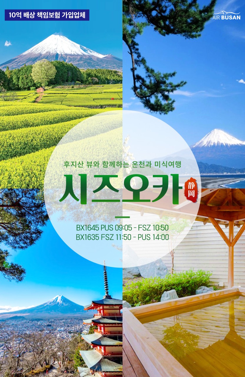 부산출발 시즈오카 에어텔 2박 3일 복제