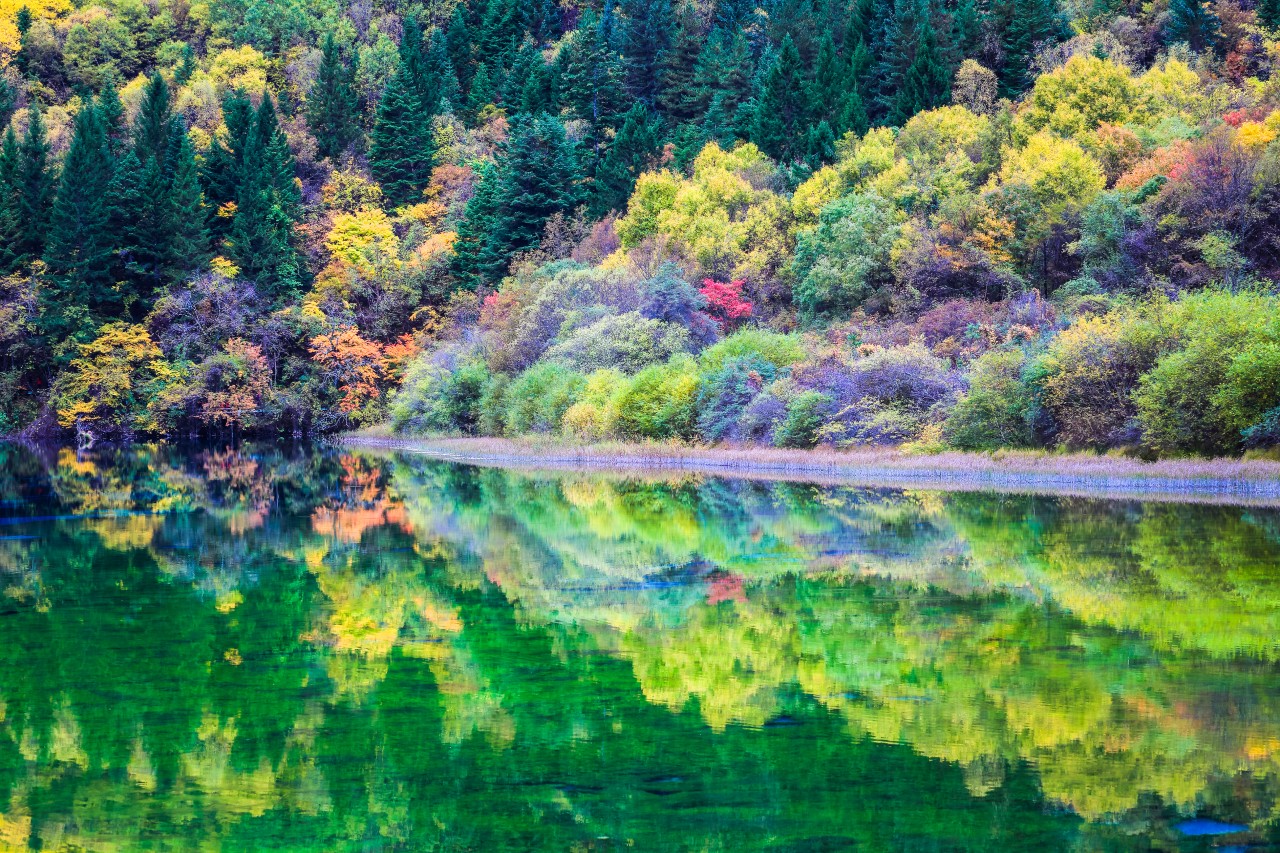 부산출발 서안 구채구 