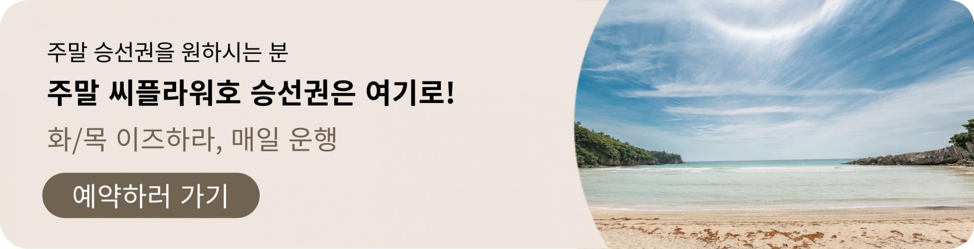 씨플라워호 대마도 왕복 승선권 부산 출발 히타카츠 이즈하라 당일치기 1박 2일 쓰시마 대마도배편