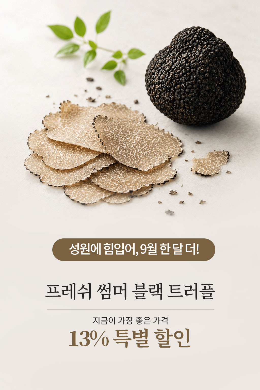 [7월한정 13%할인] 생트러플 프레쉬 썸머 블랙트러플 송로버섯 30g 40g 50g