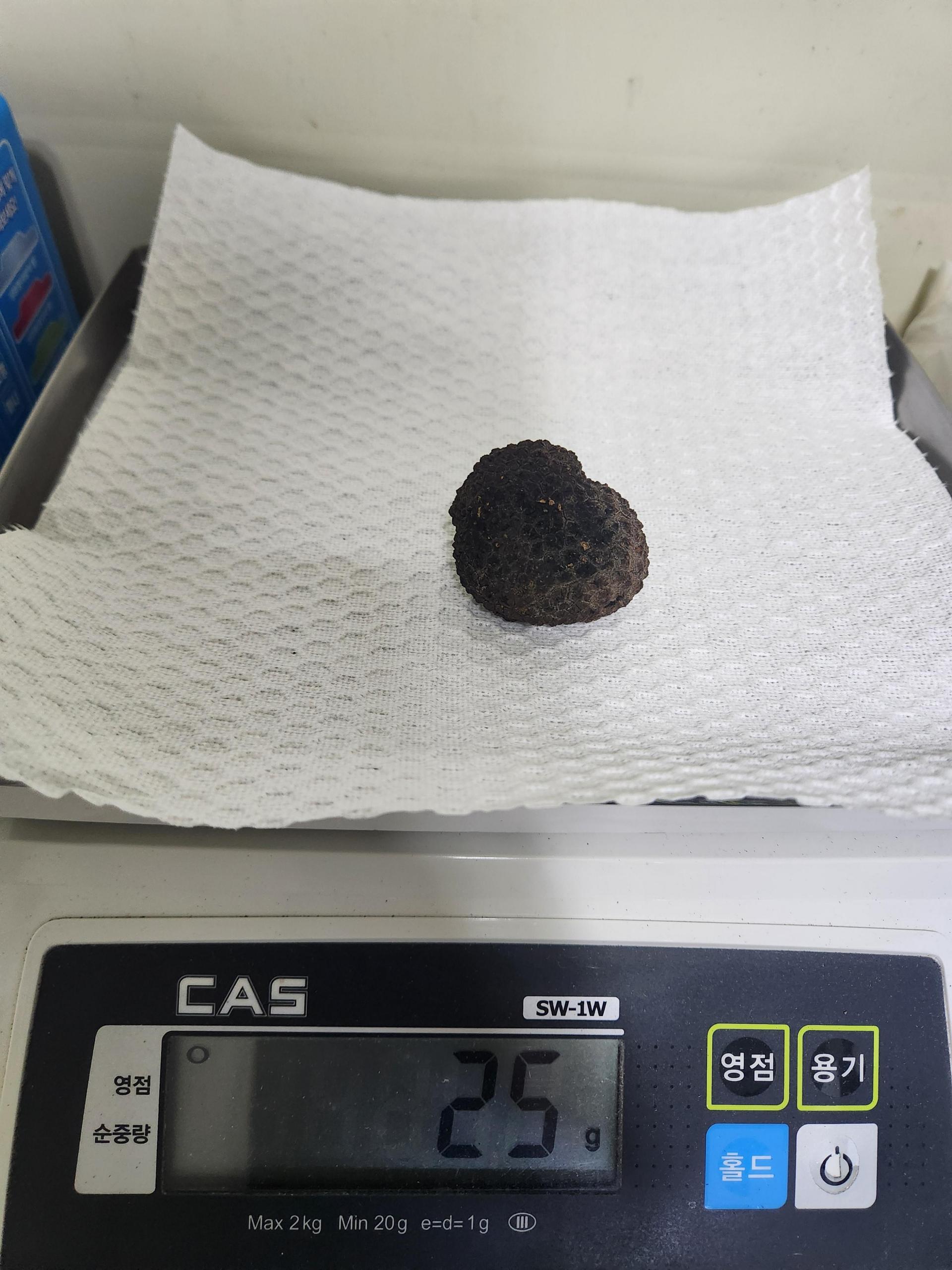 생트러플 프레쉬 썸머 블랙트러플 송로버섯 30g 40g 50g