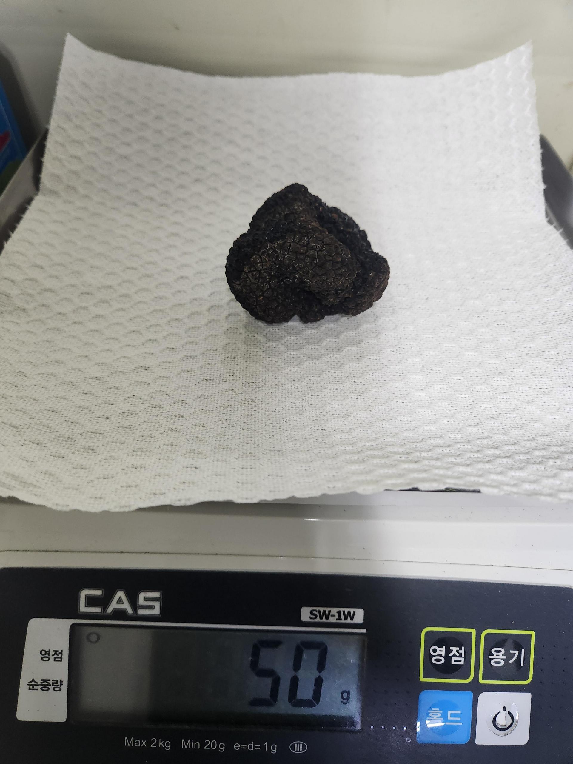 생트러플 프레쉬 썸머 블랙트러플 송로버섯 30g 40g 50g