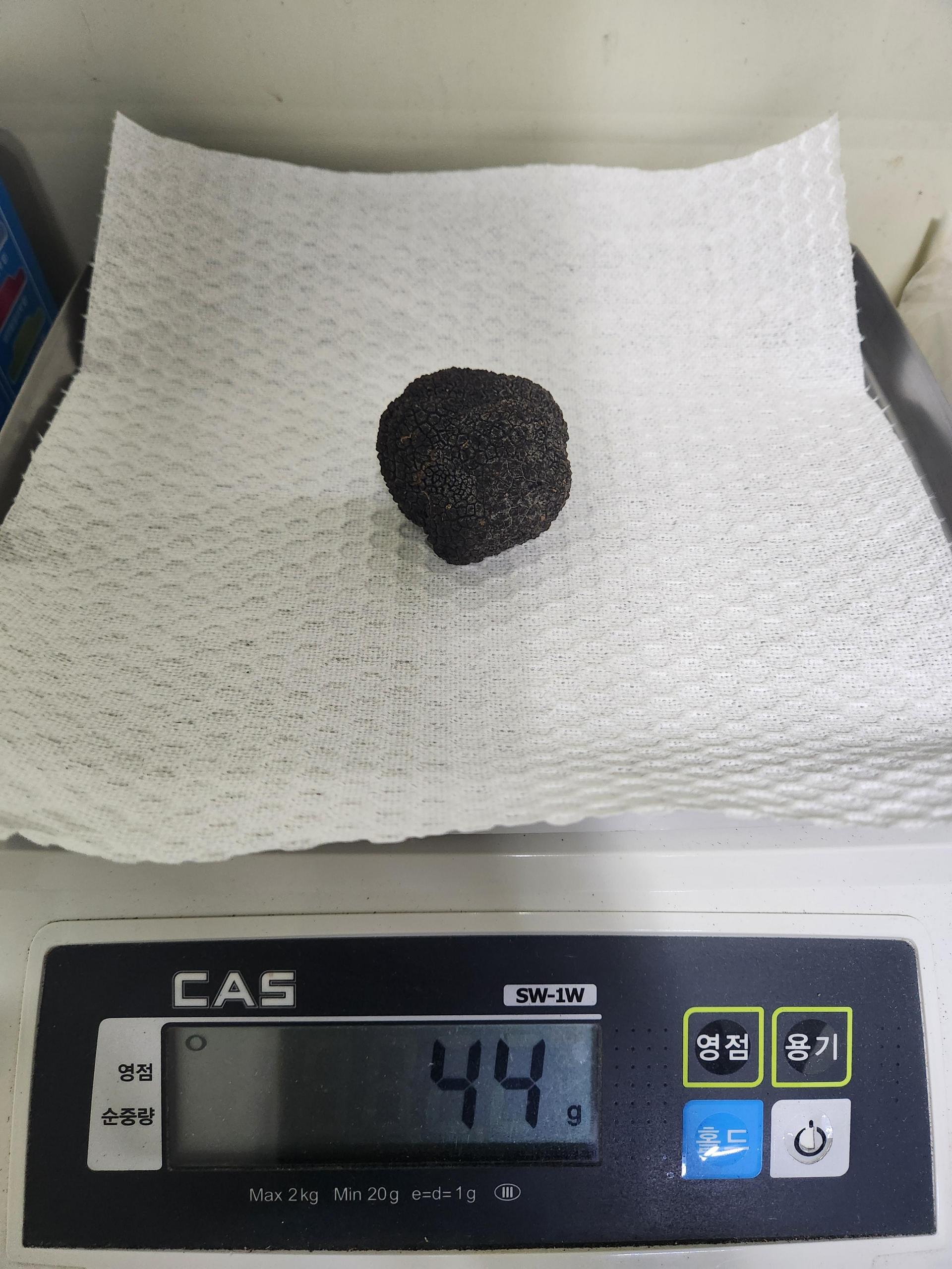 생트러플 프레쉬 썸머 블랙트러플 송로버섯 30g 40g 50g