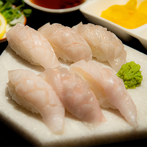 대광어 특수부위 엔가와 초밥