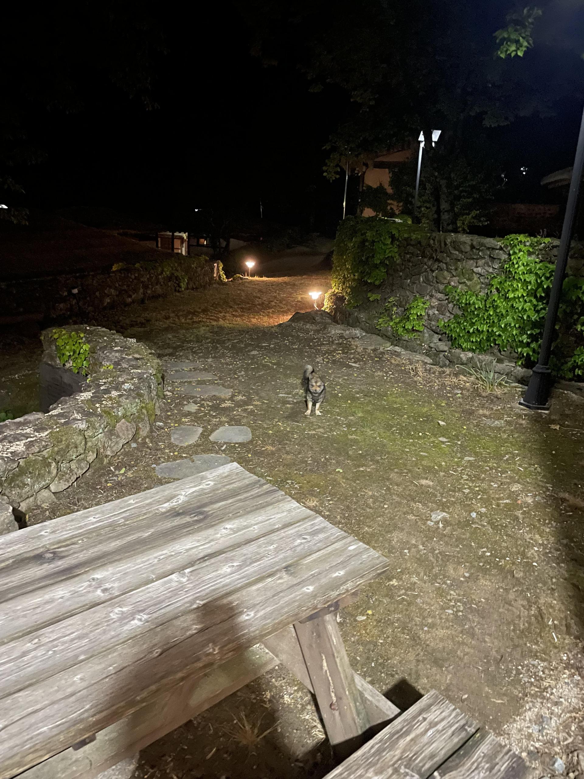 28074a49504b7.jpeg