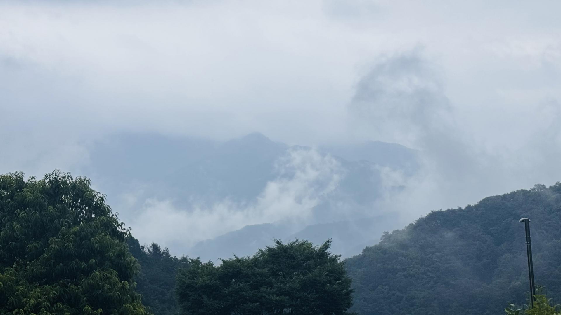 40c0e96485e1a.jpg