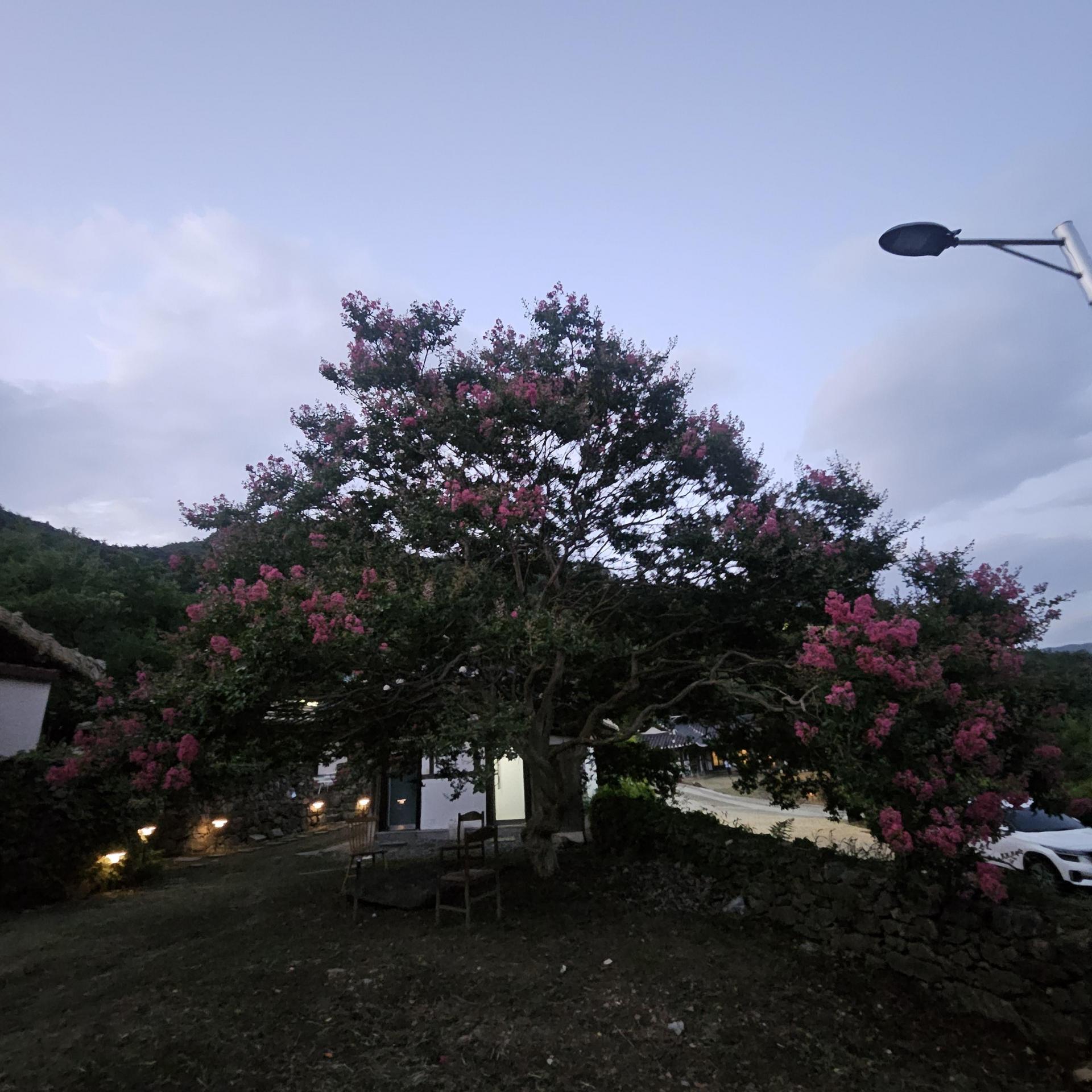 6d59d1798af7a.jpg