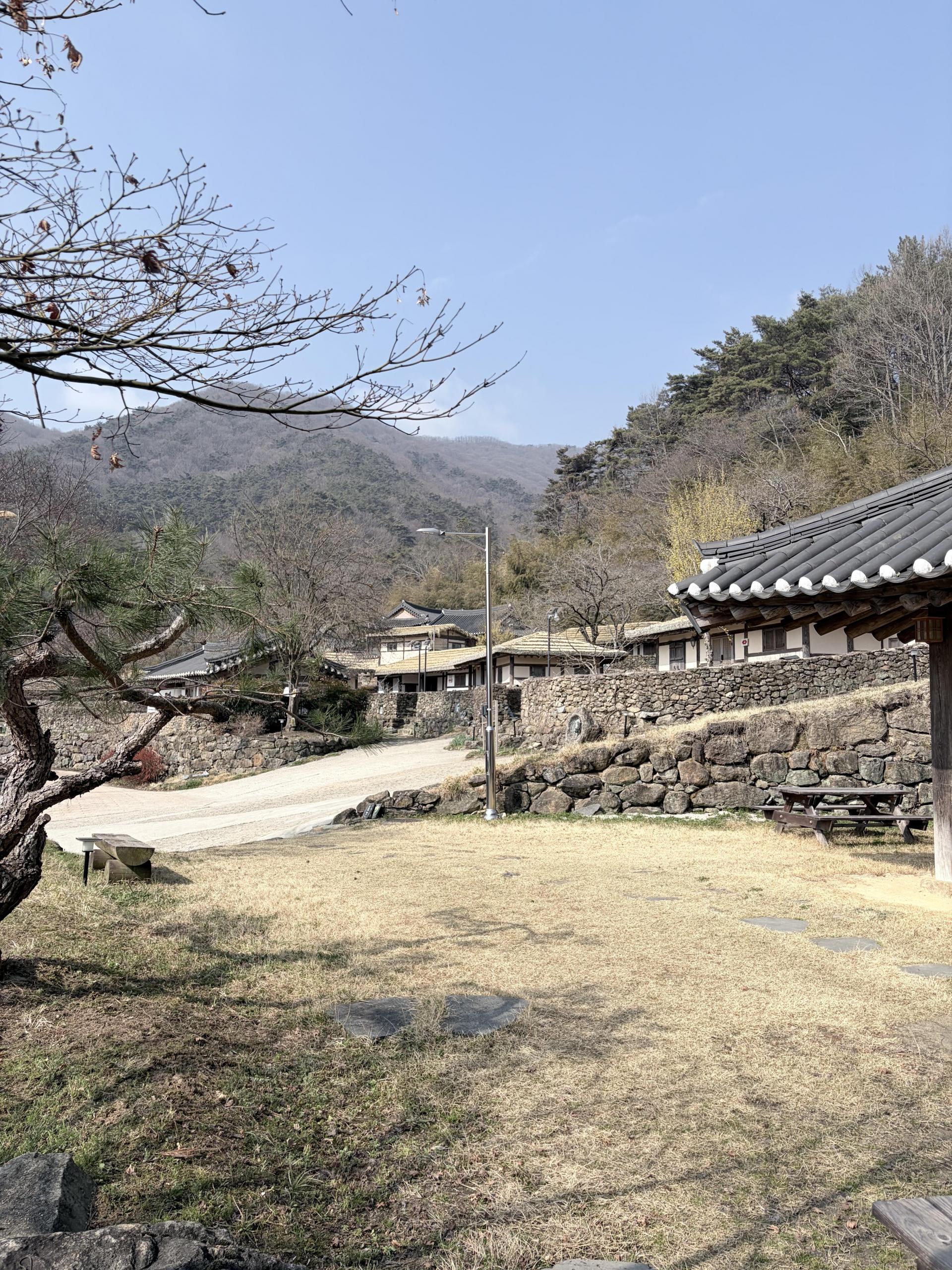 79330ca682878.jpg