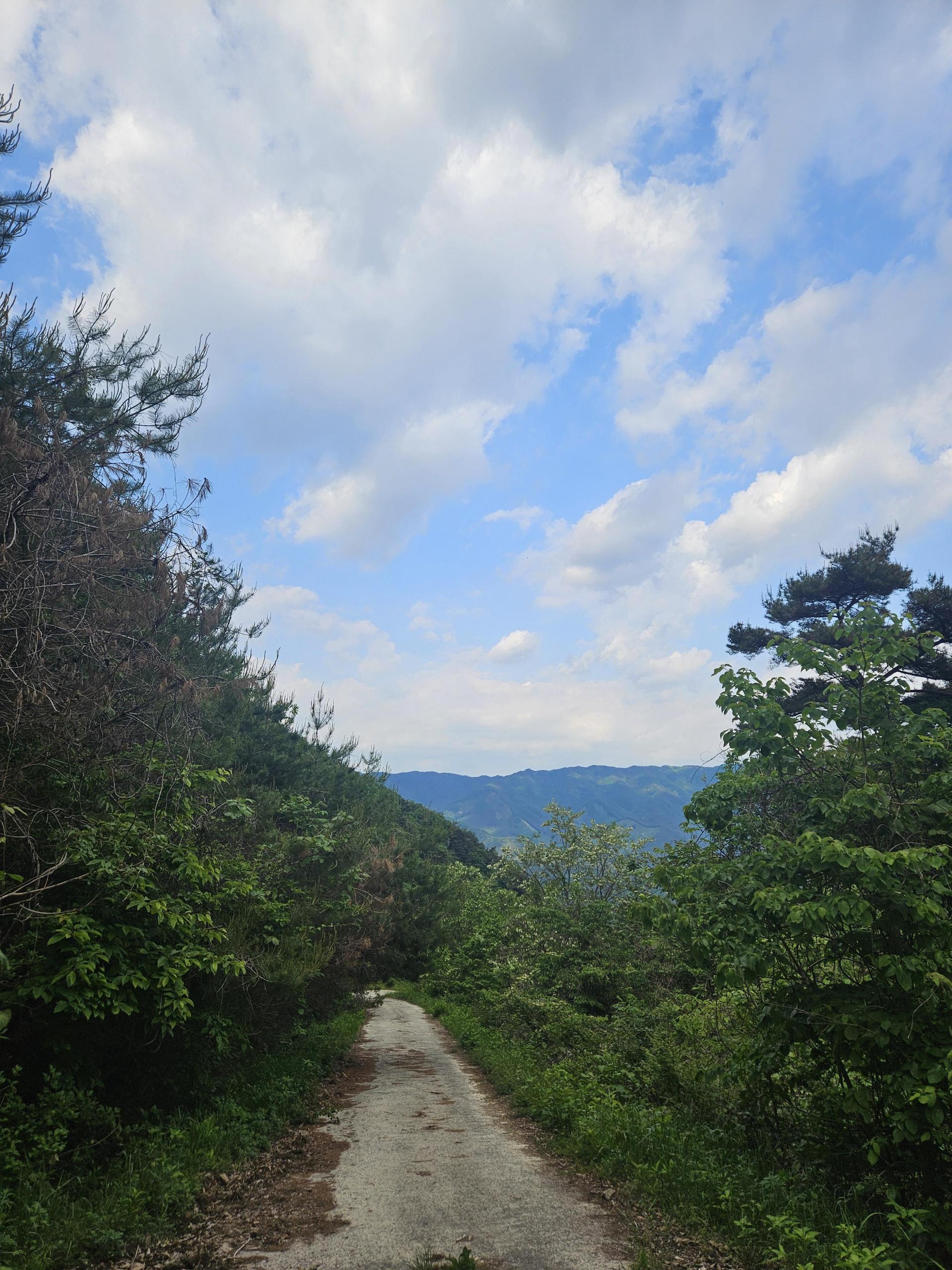 7ed808ca940f9.jpg