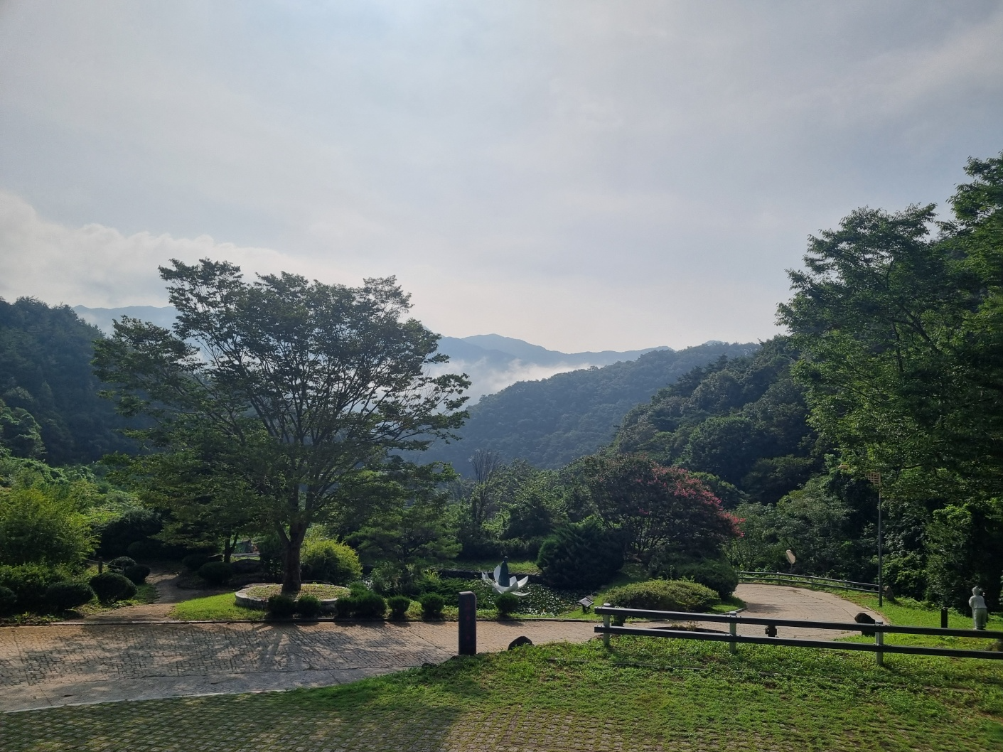 a6519d56186e8.png