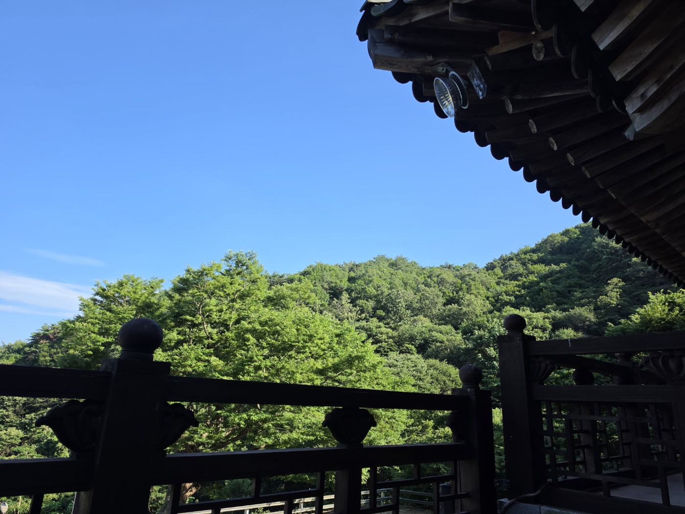b6d29984169c4.jpg