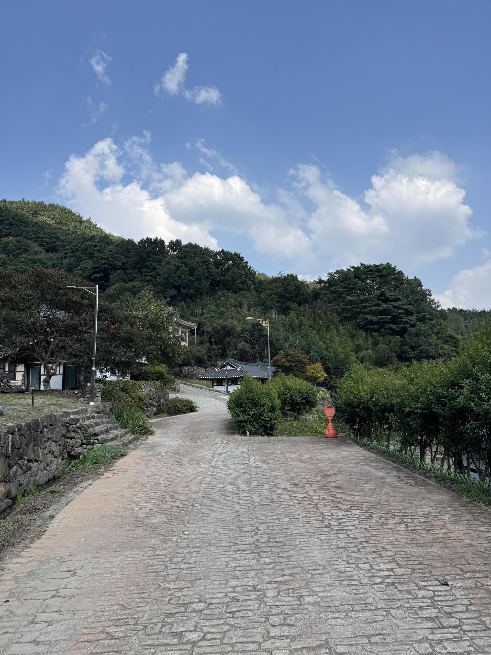 d067f561dcac0.jpg