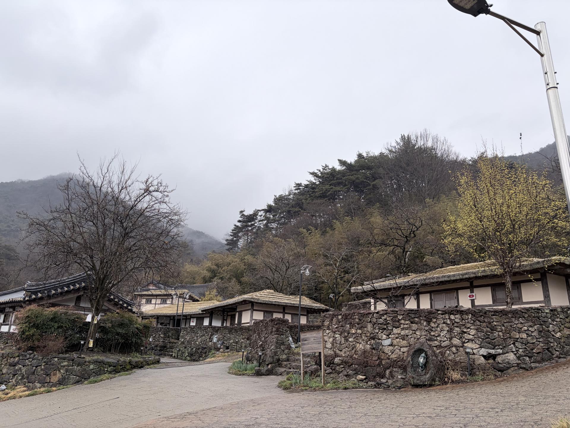 d1616b3544281.jpeg