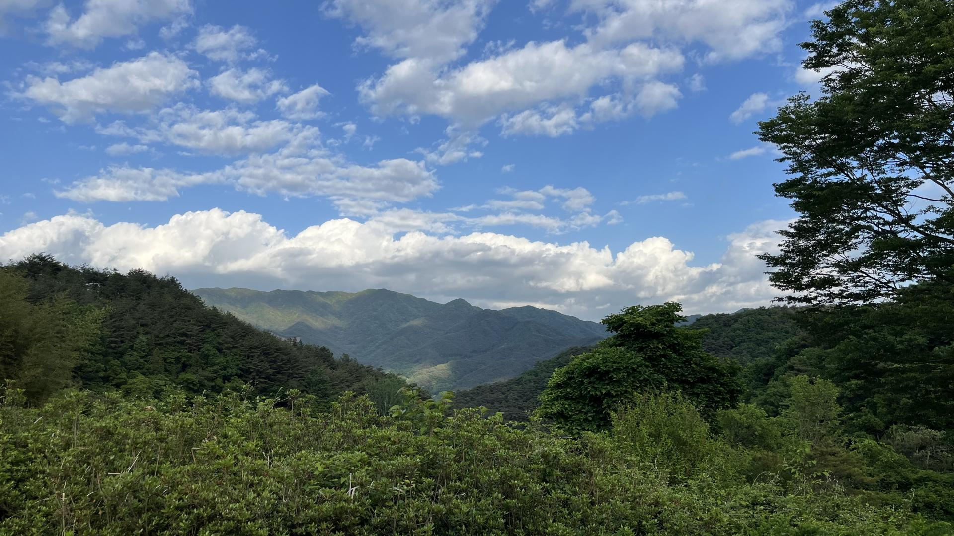 d8474a8c74a3b.png