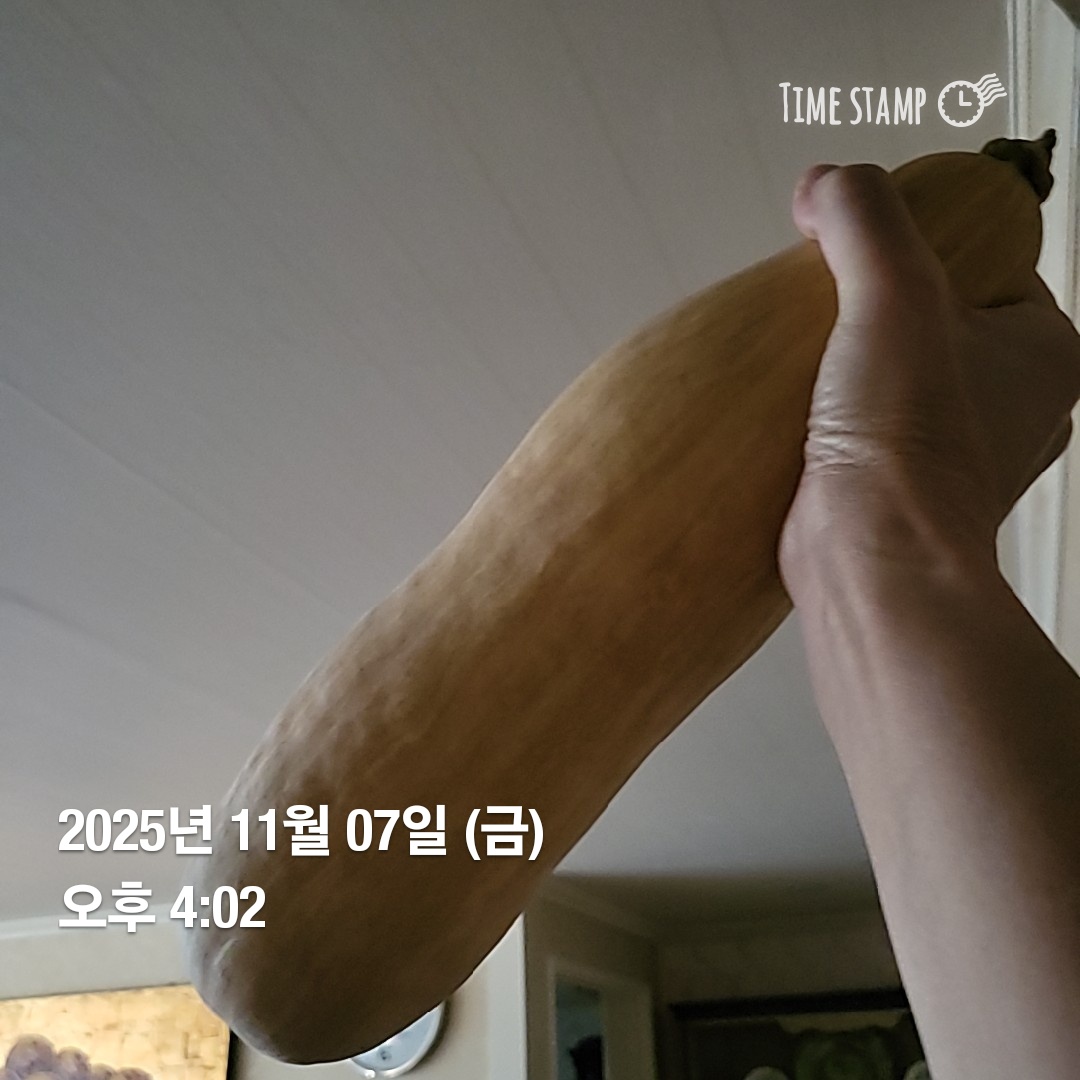 4303df13bda75.jpg