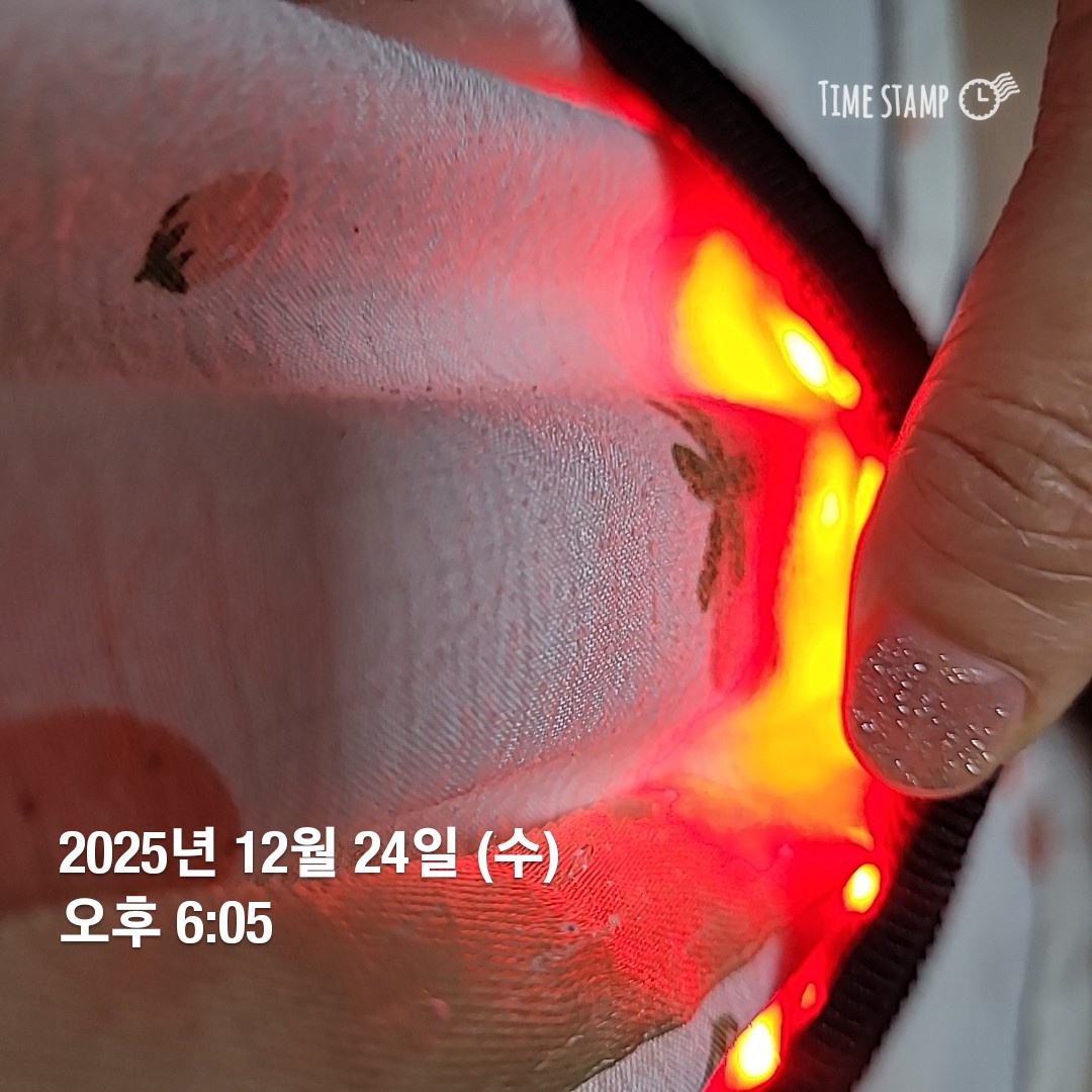 62f6065209cb5.jpg