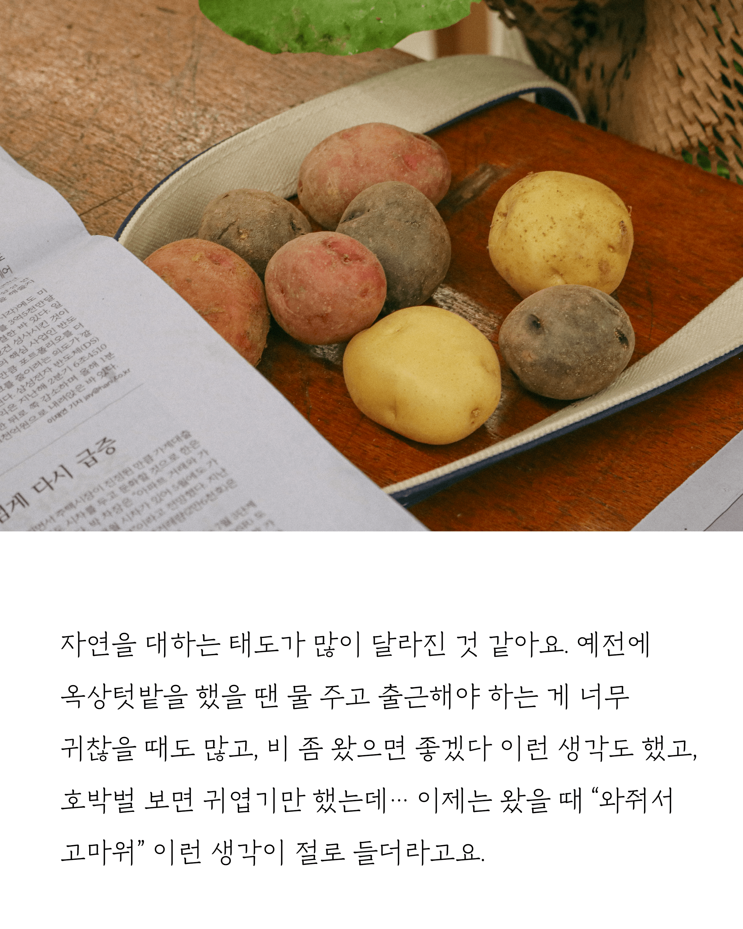 45d584e750471.png