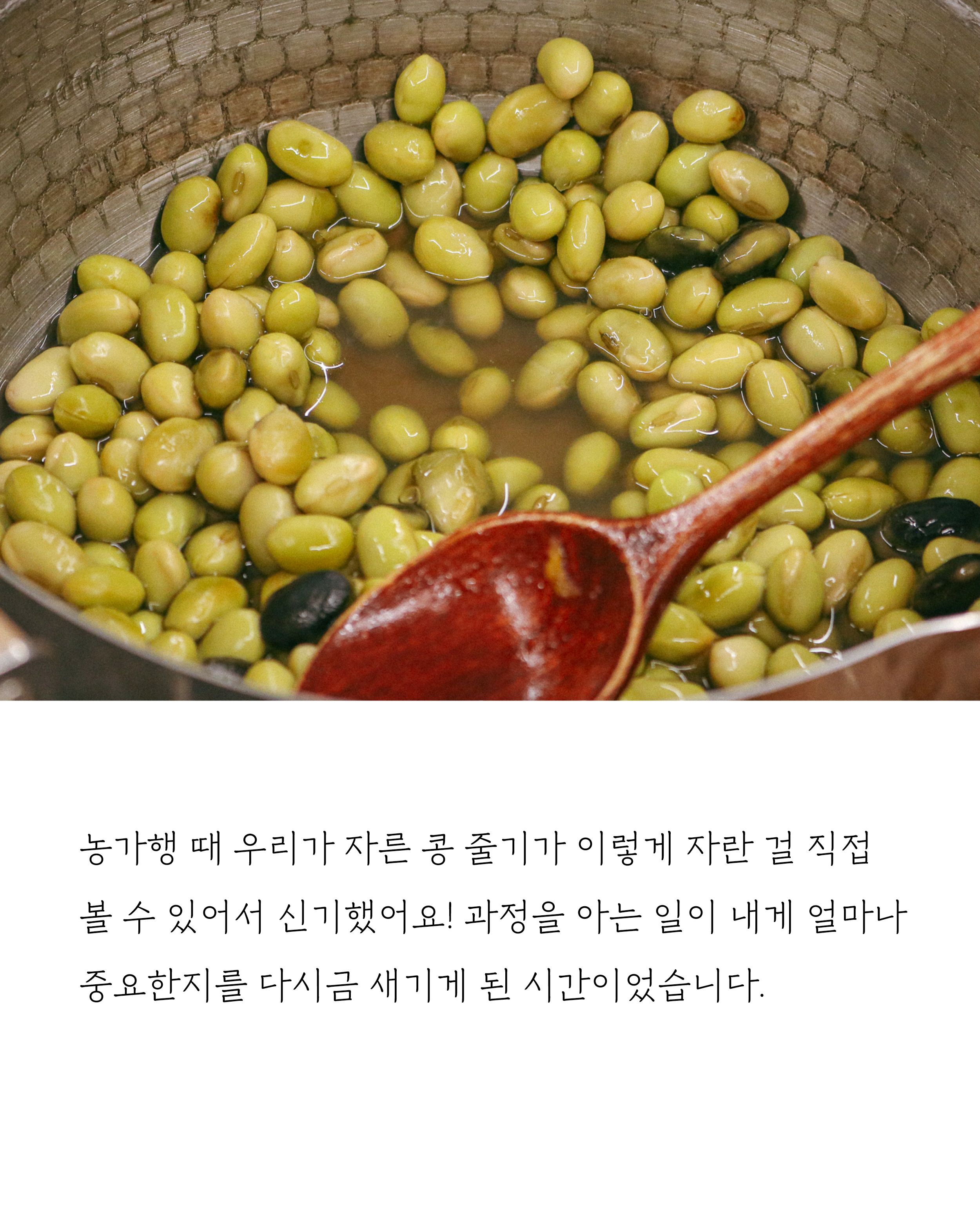 48270d49b7637.png