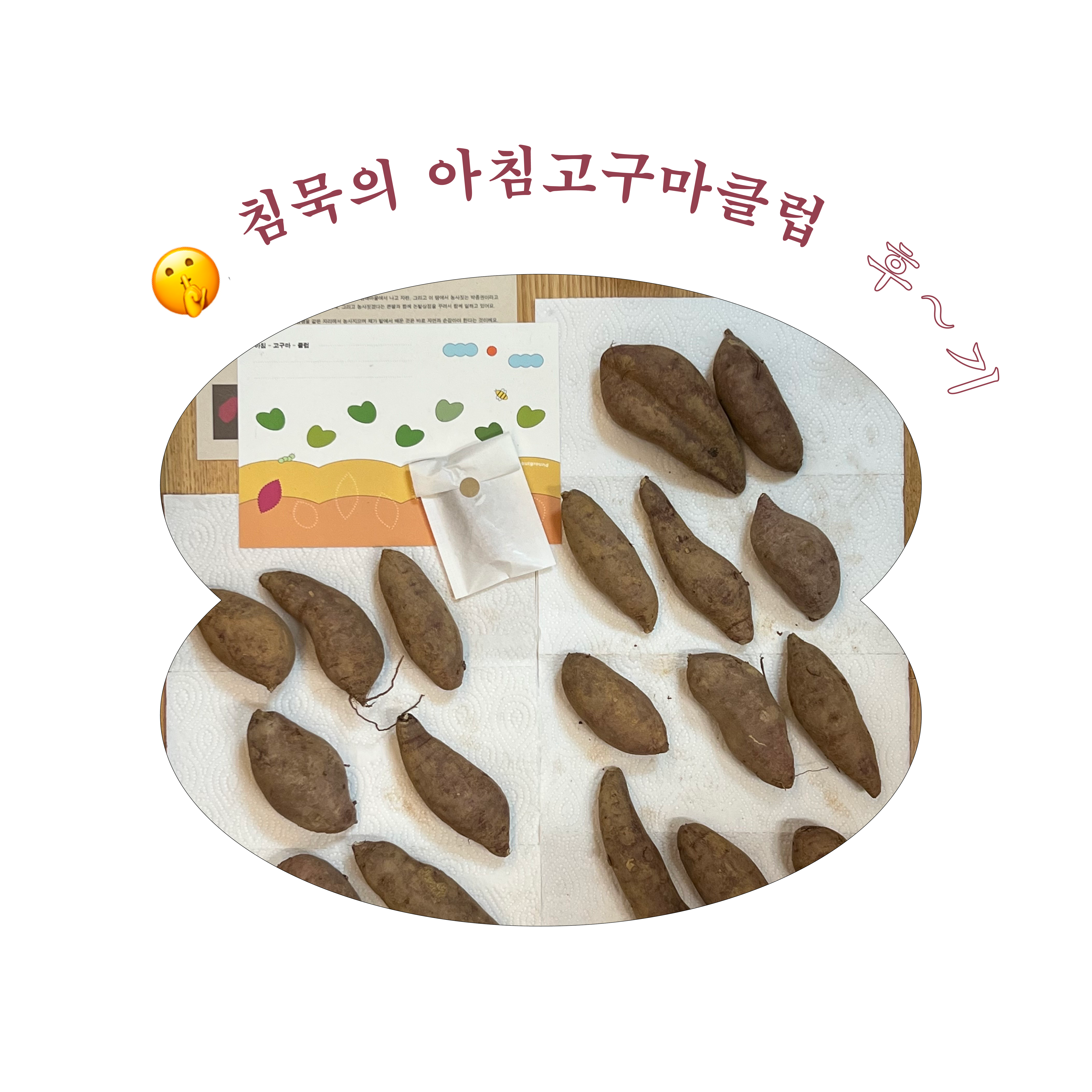 5ca14a3530520.png