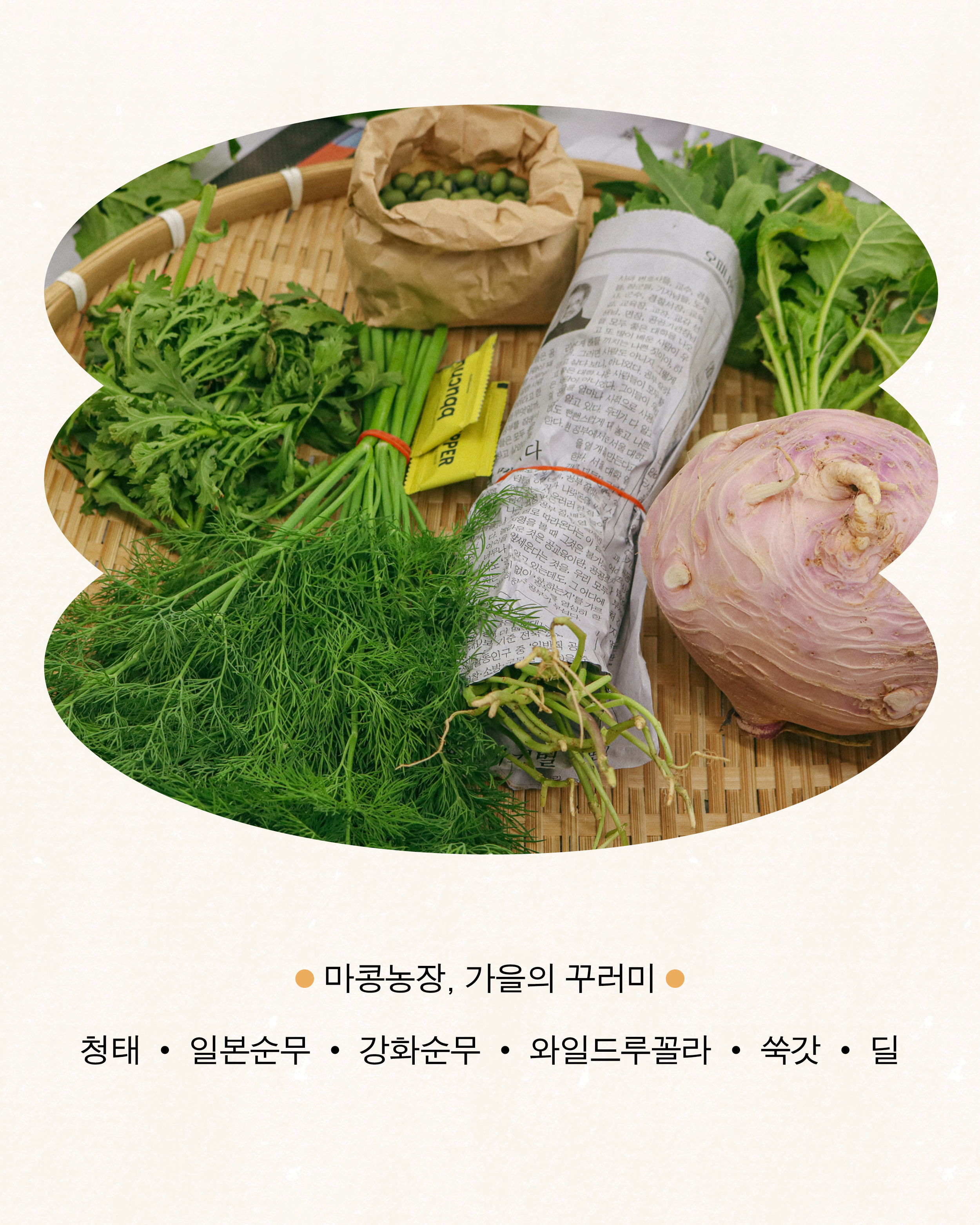 650cbd7053175.png