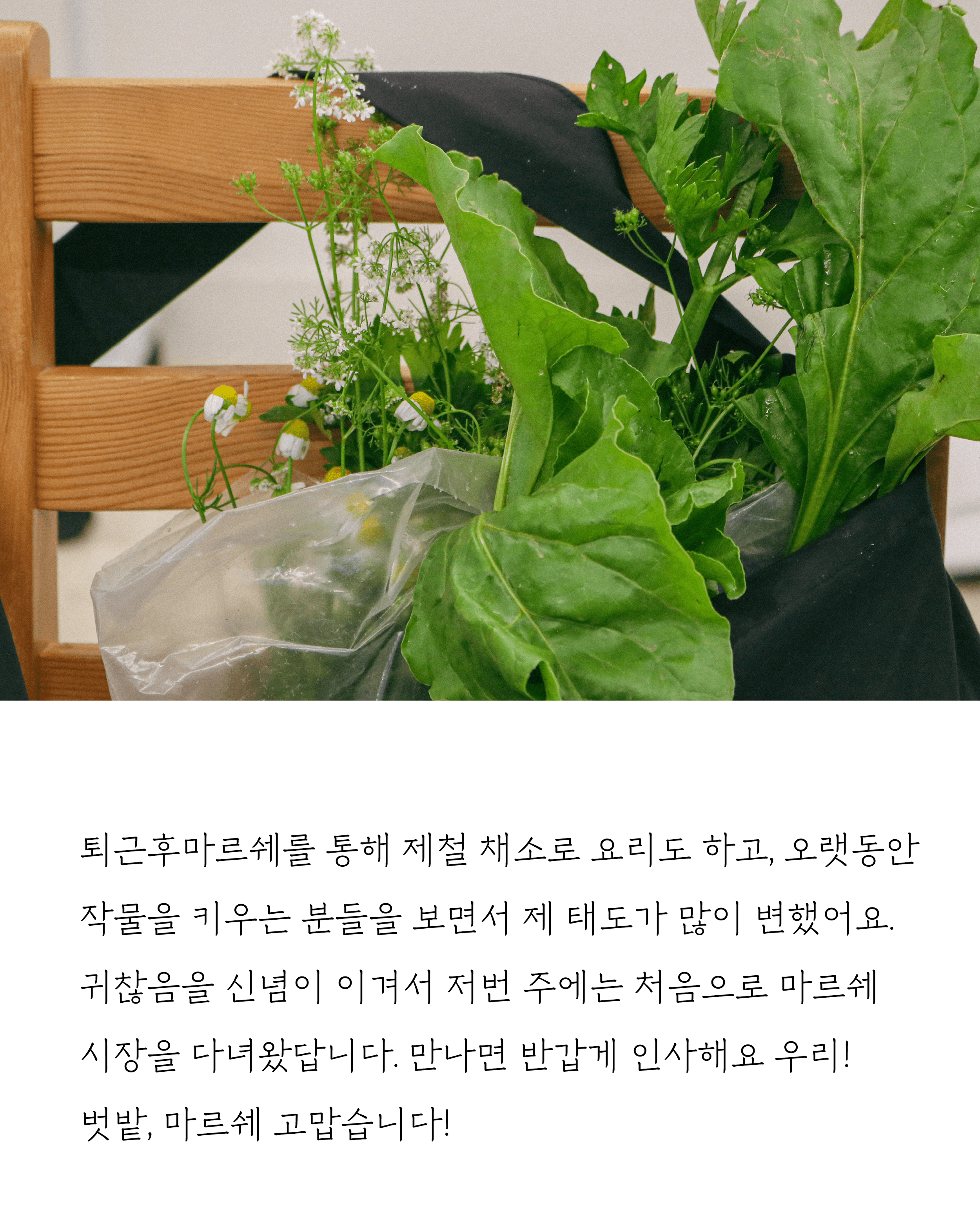 8c331913a8712.png