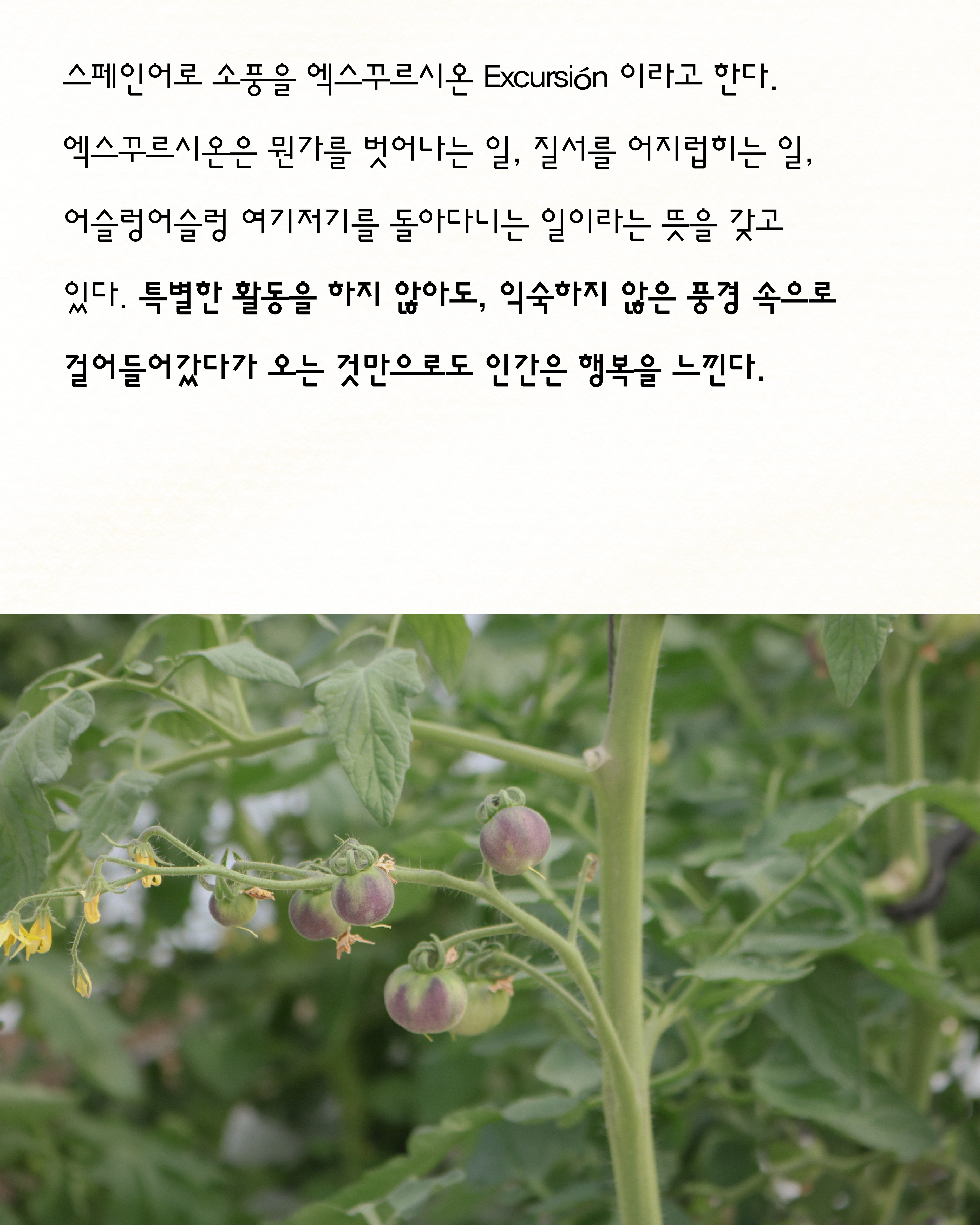 963a9fa267f8f.jpg