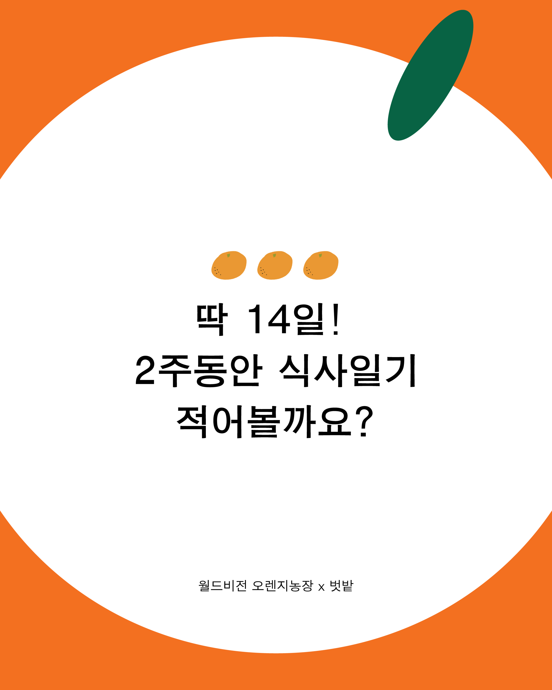 9fd036db22203.png