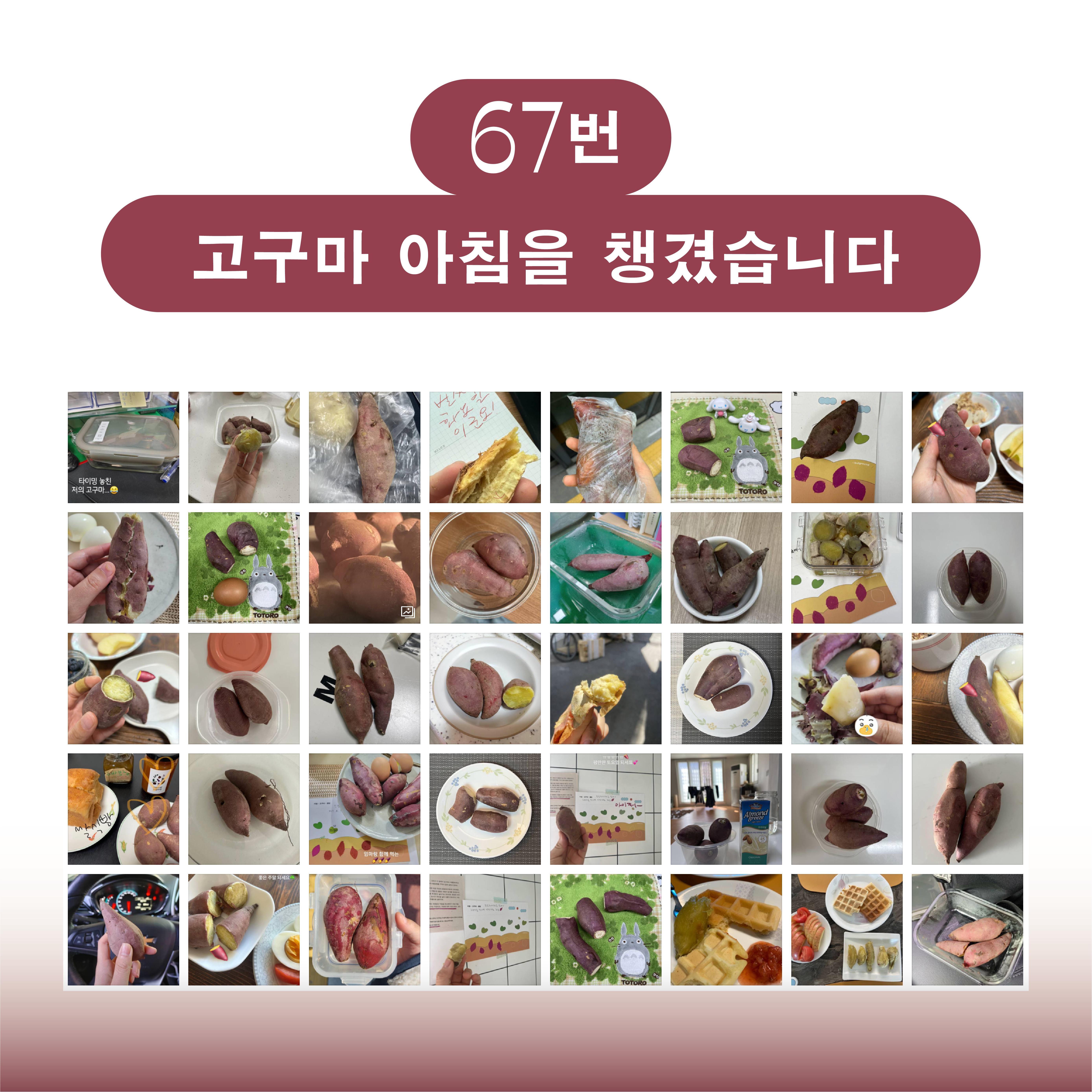 e1fb11f793ae7.png