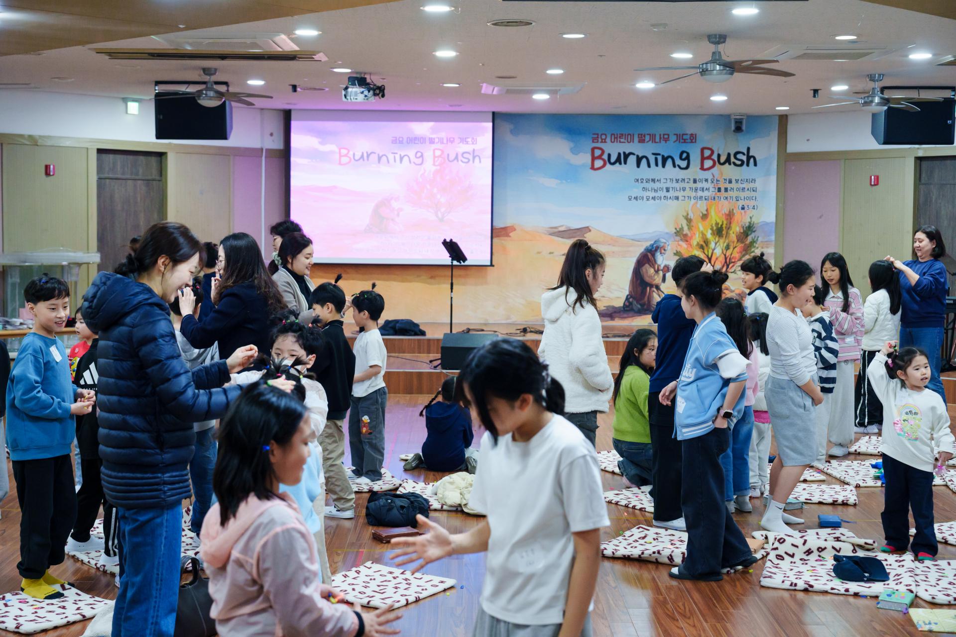 1b9a44c2659c1.jpg