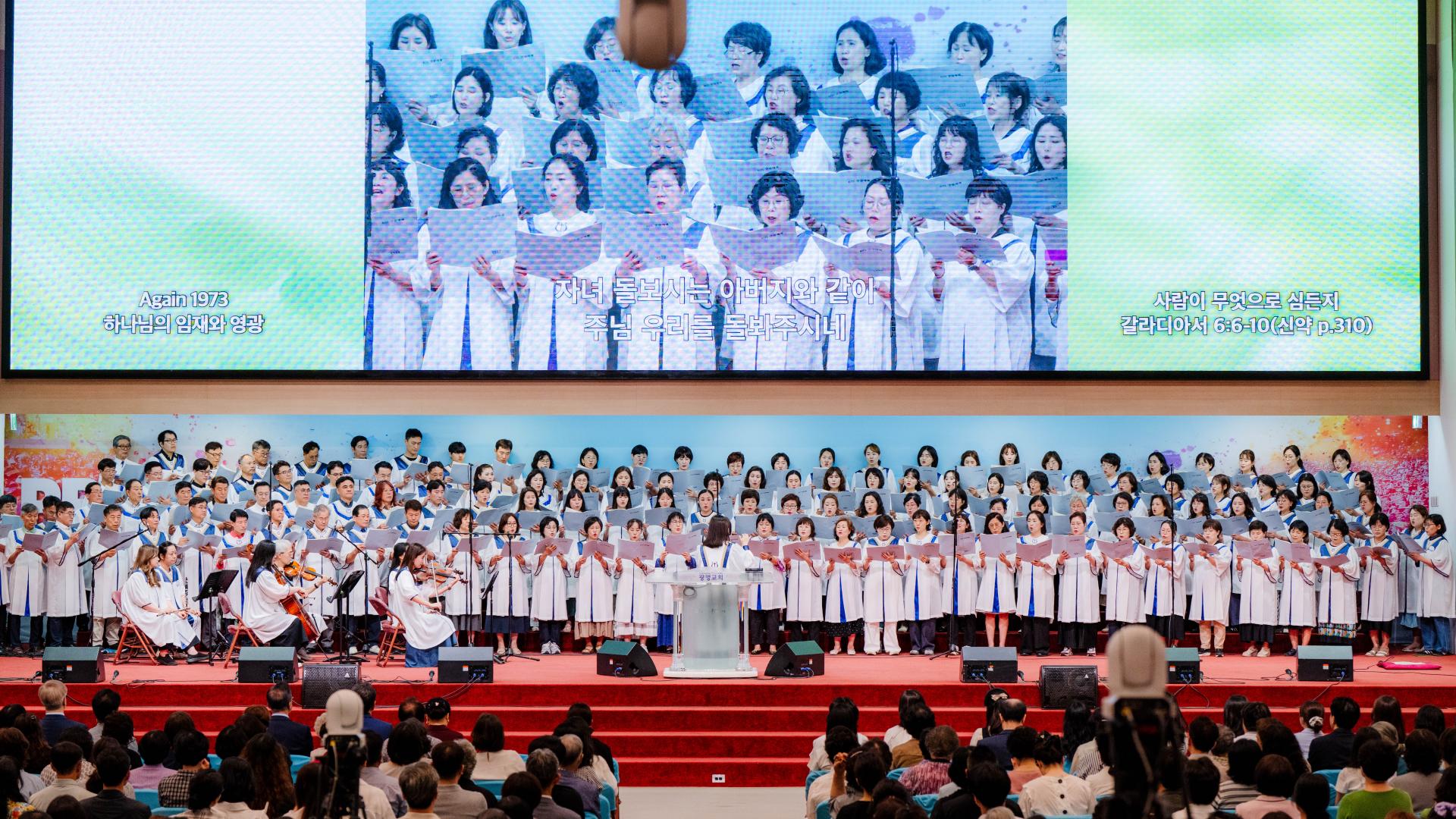 ff9479d92ea39.jpg