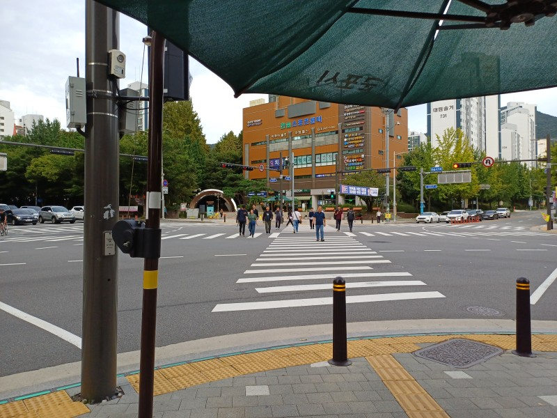 20250923_074221.jpg