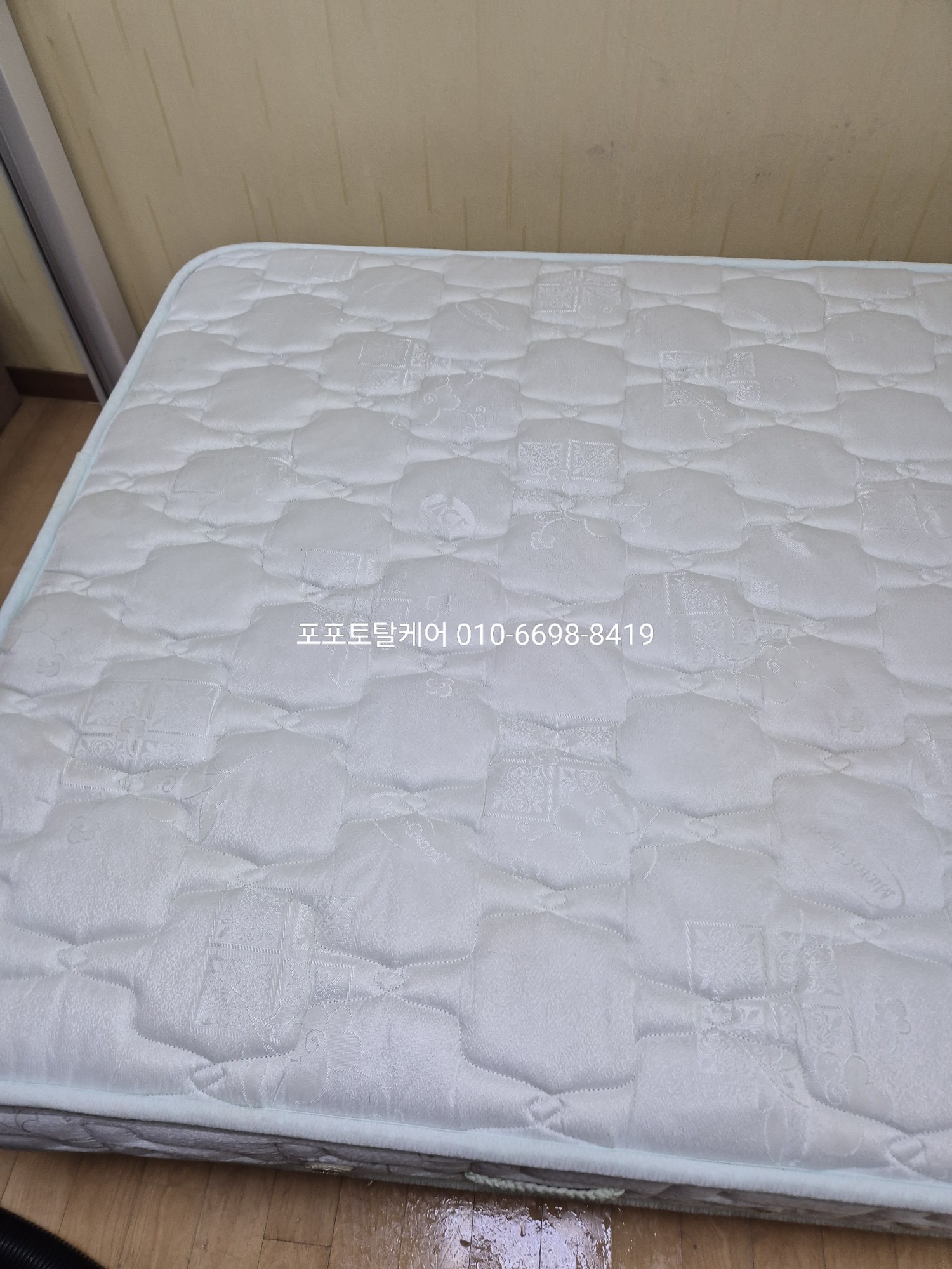 13cdc54d6166a.jpg