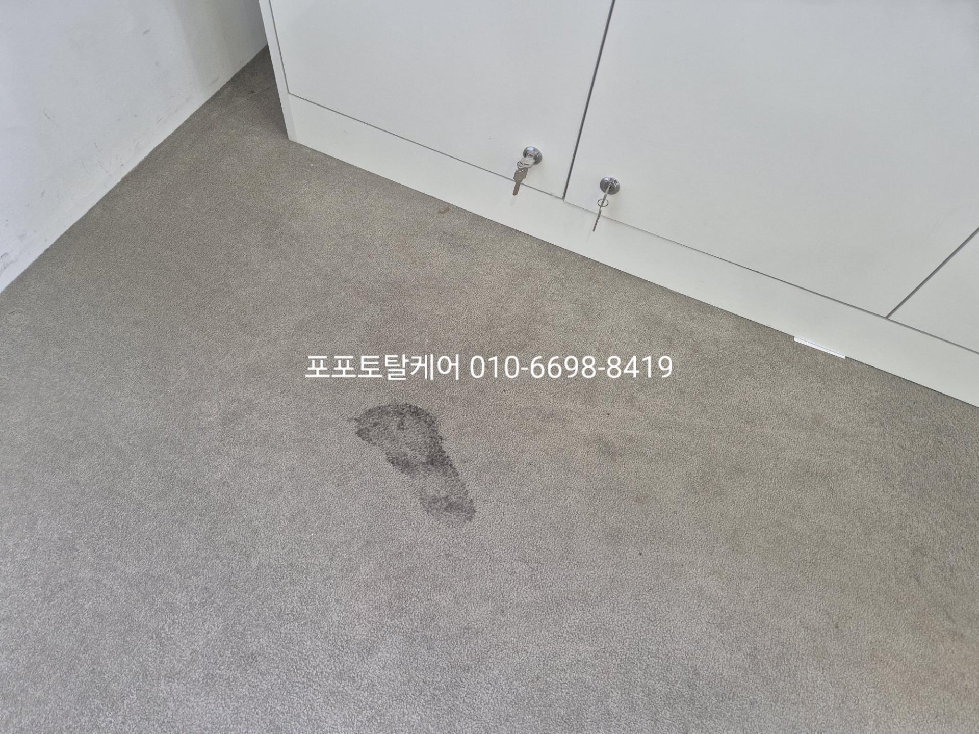 169139de6bfc2.jpg