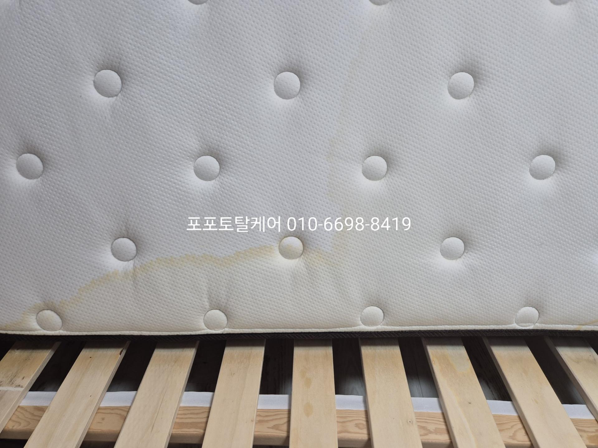 95fb0645ca3cd.jpg