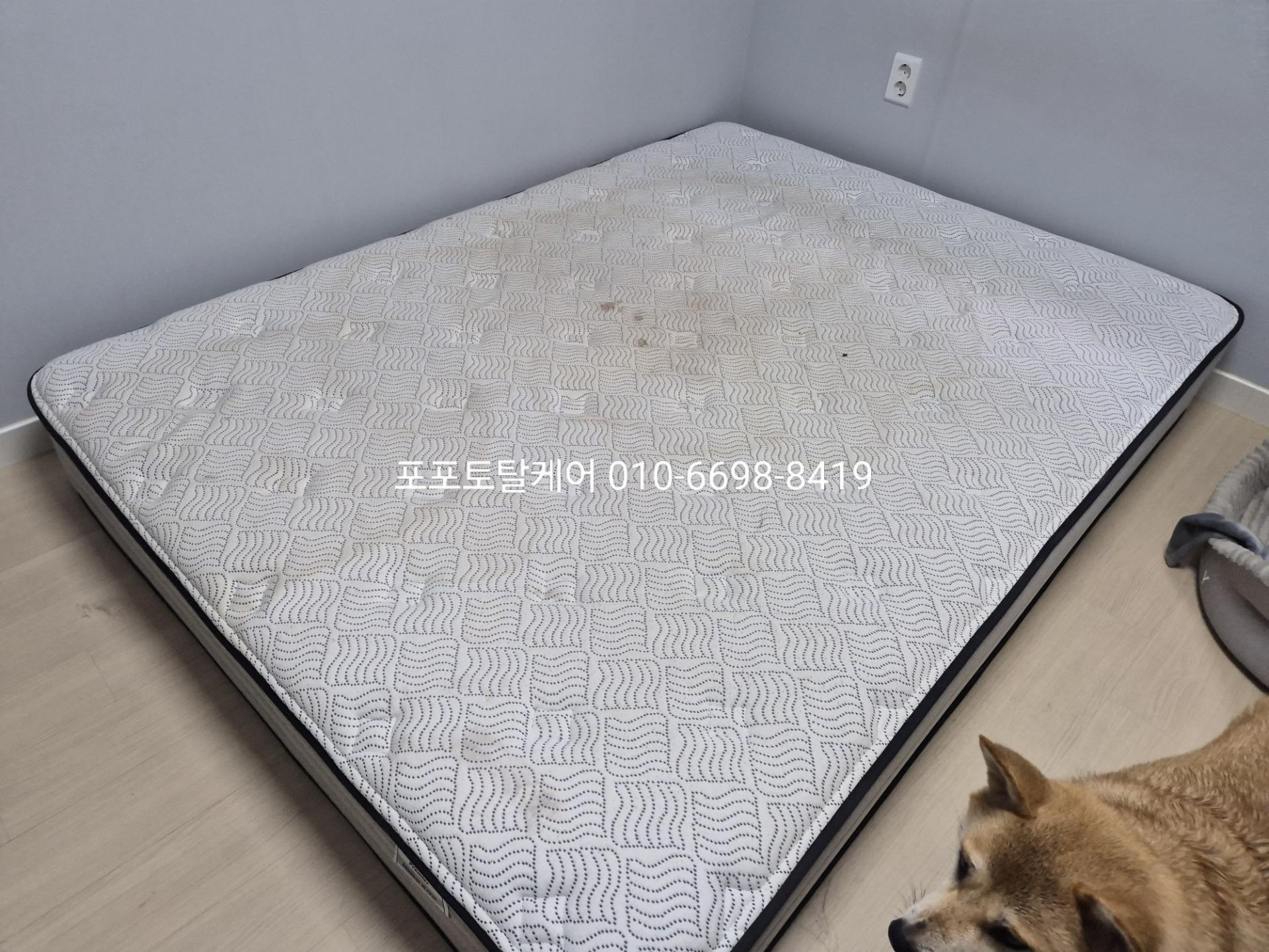 98040d2c85055.jpg