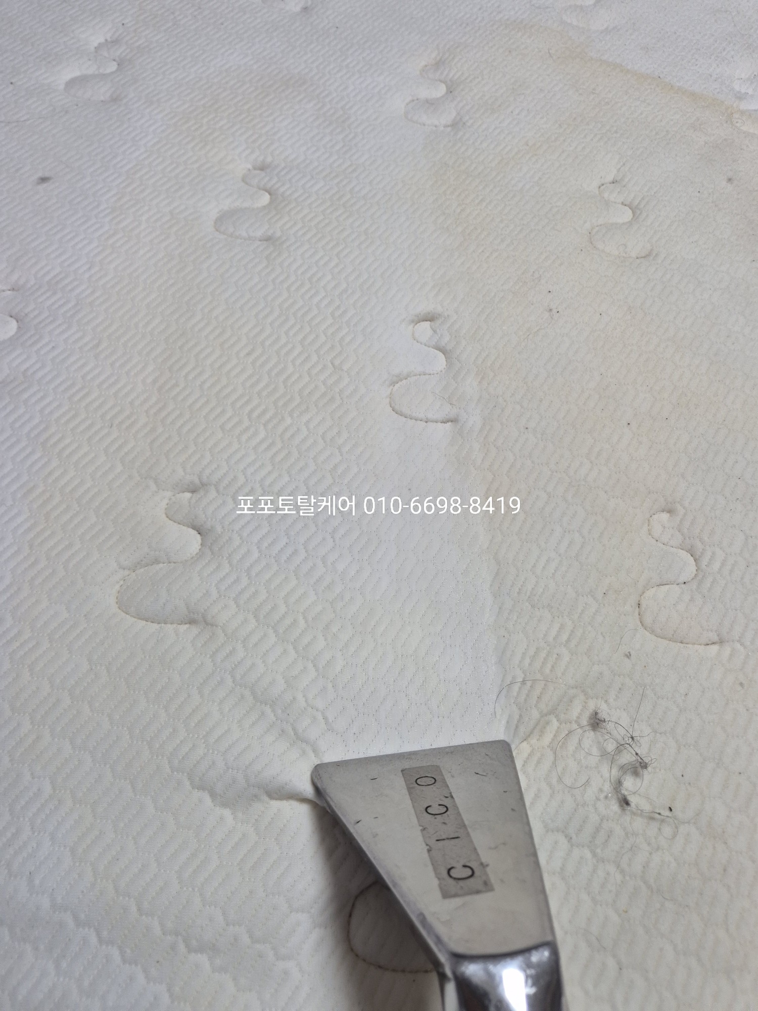 d920009fcef3d.jpg