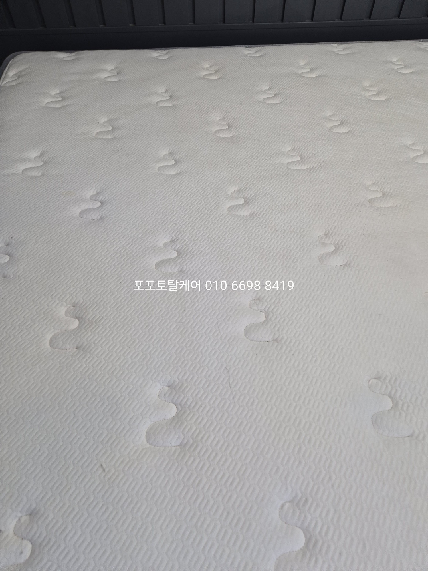 f4345dcd79cdc.jpg