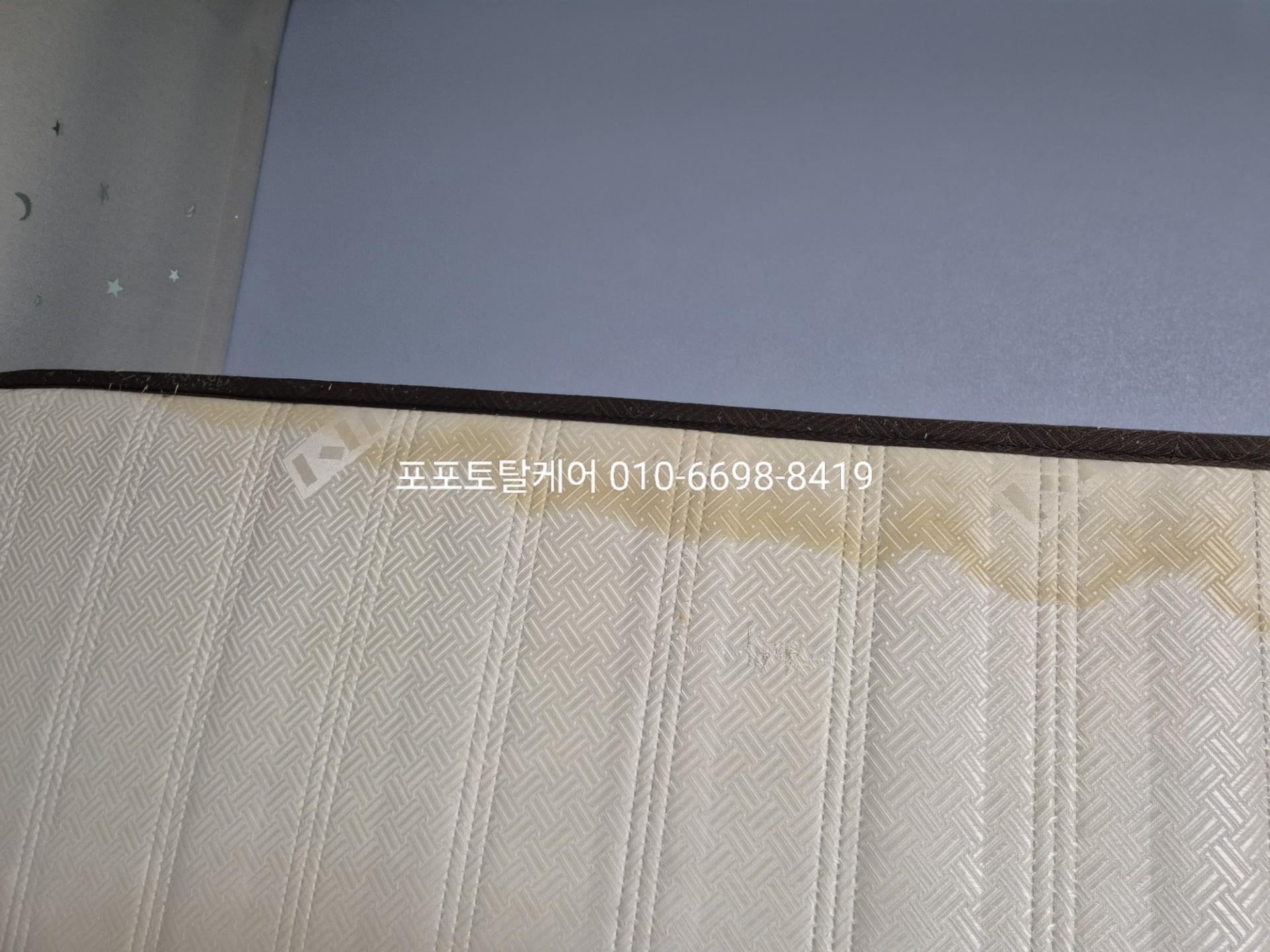 fe4020aa85c99.jpg