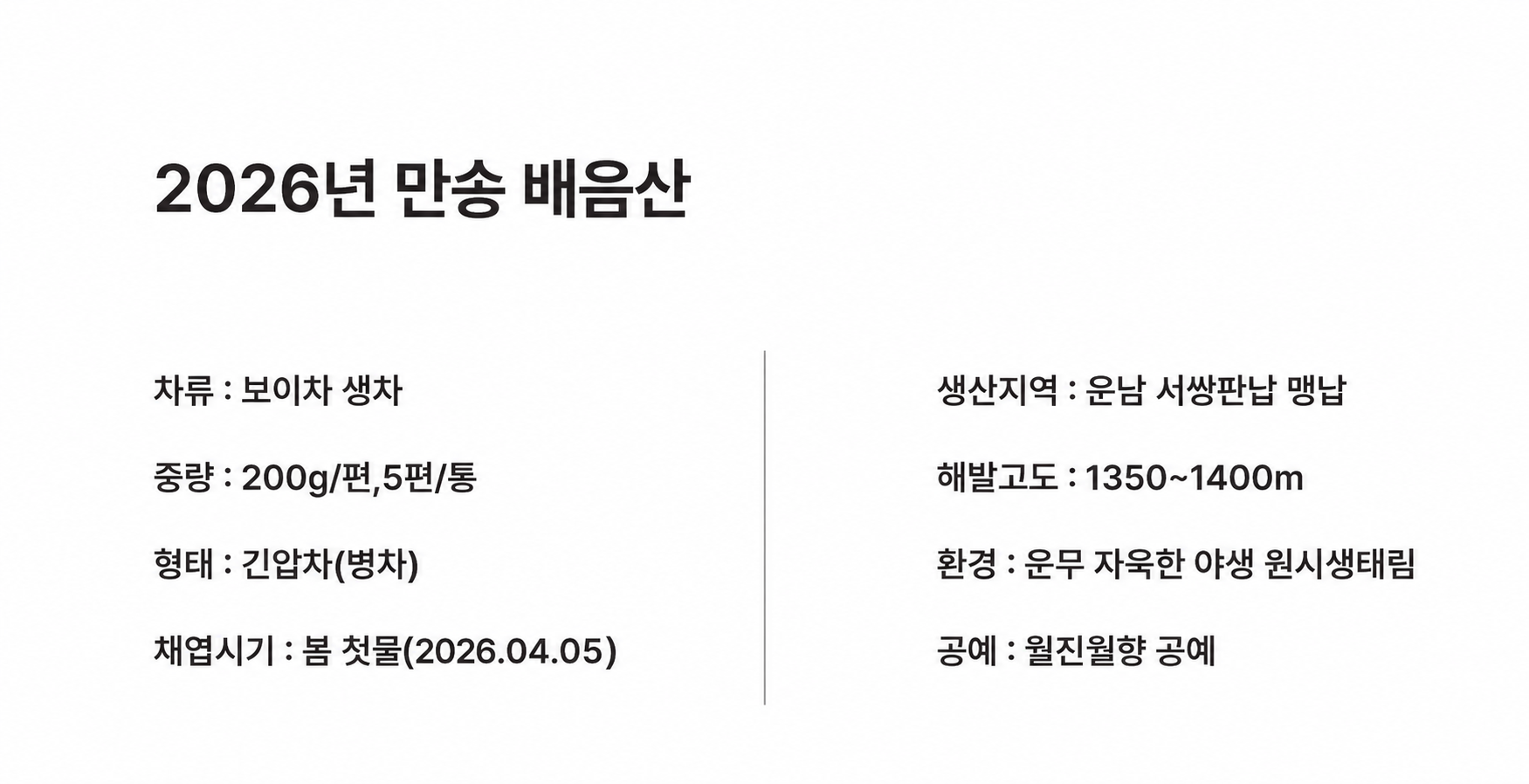 2026년 만송(曼松)