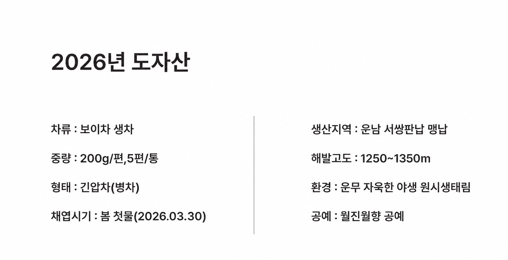 2026년 도자산(桃子山)
