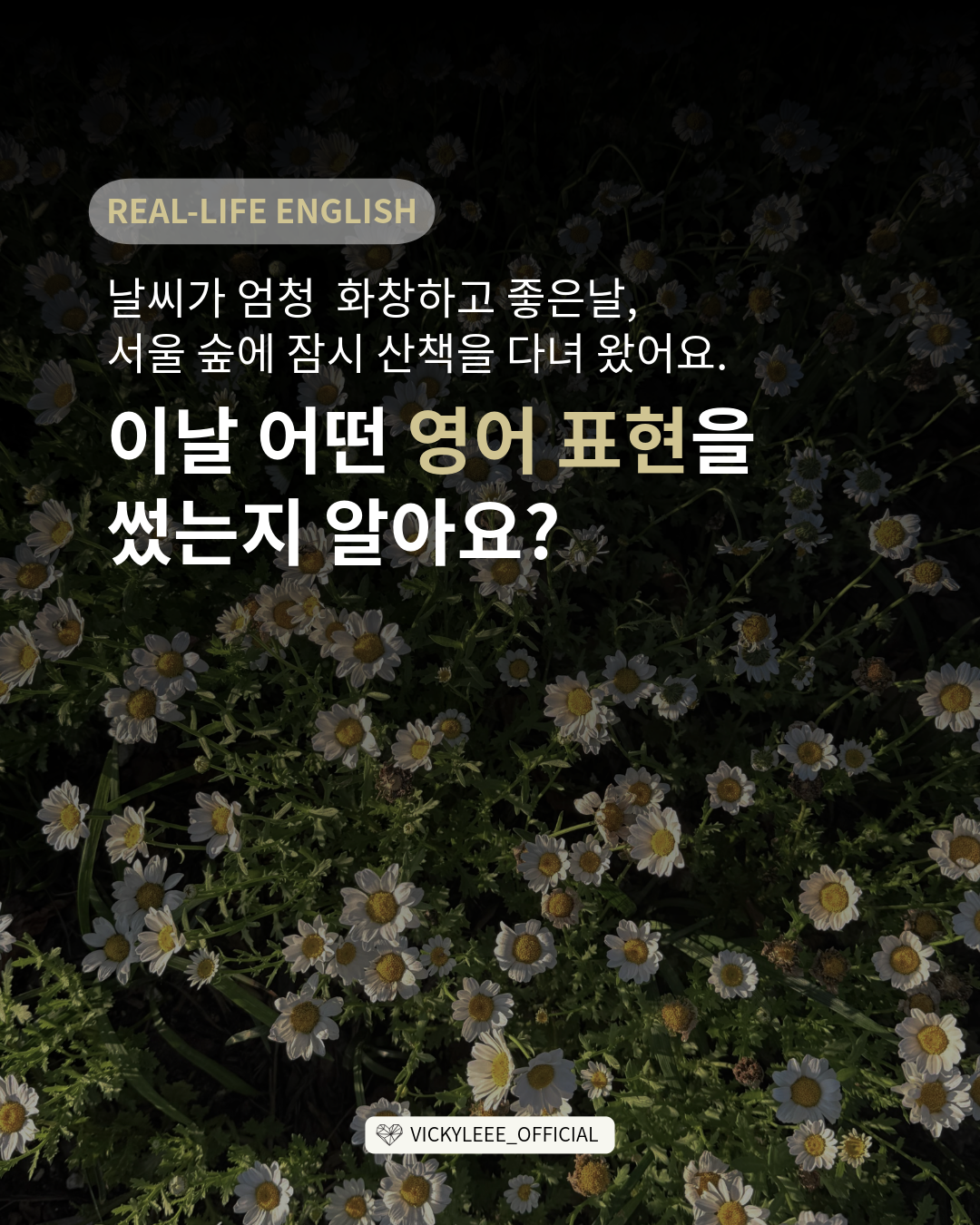 41856b377cba4.png