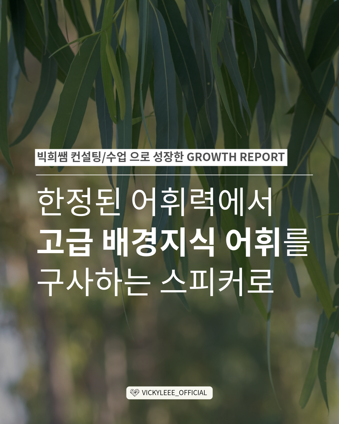 a12638615b718.png