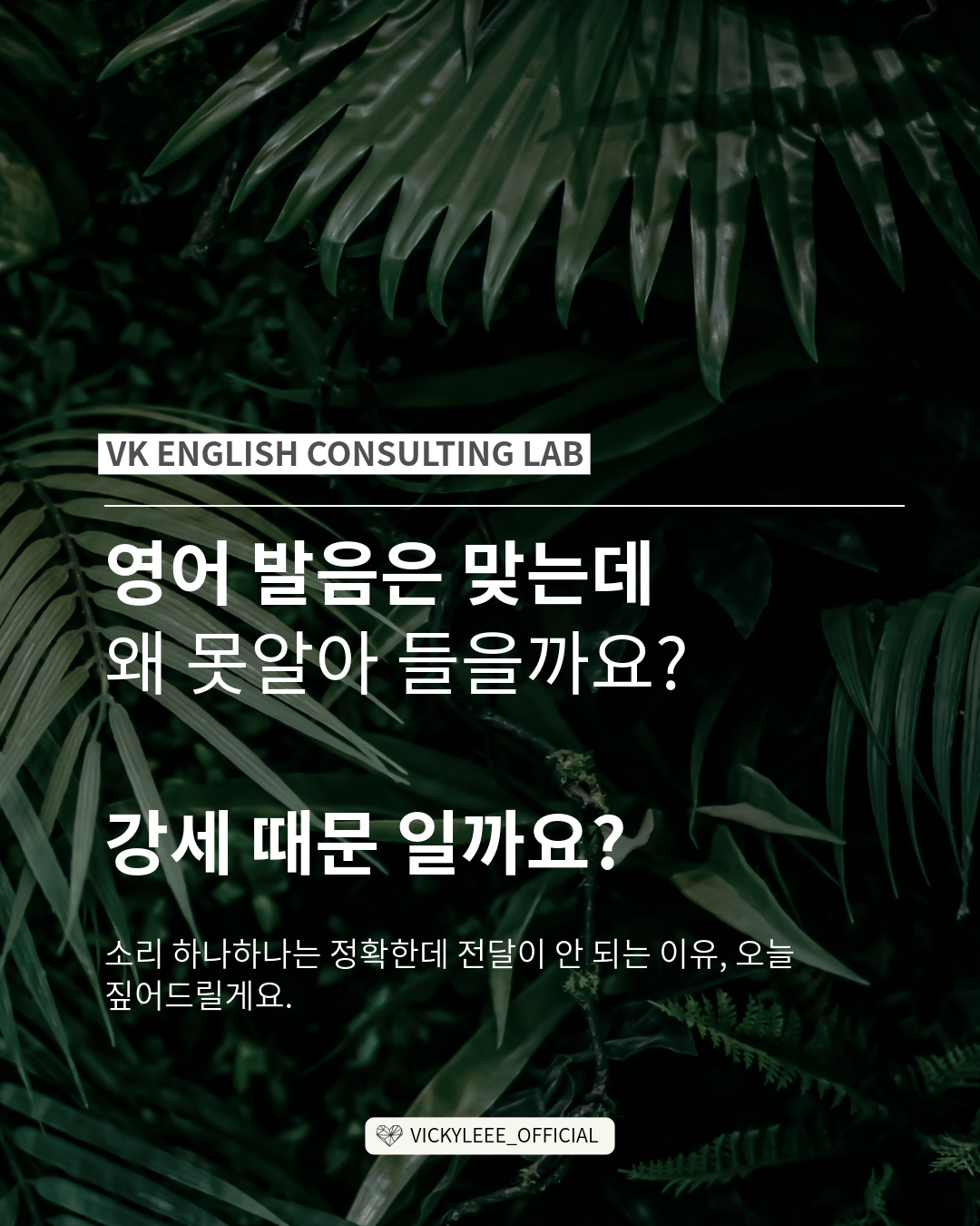 bdb35416a9142.png