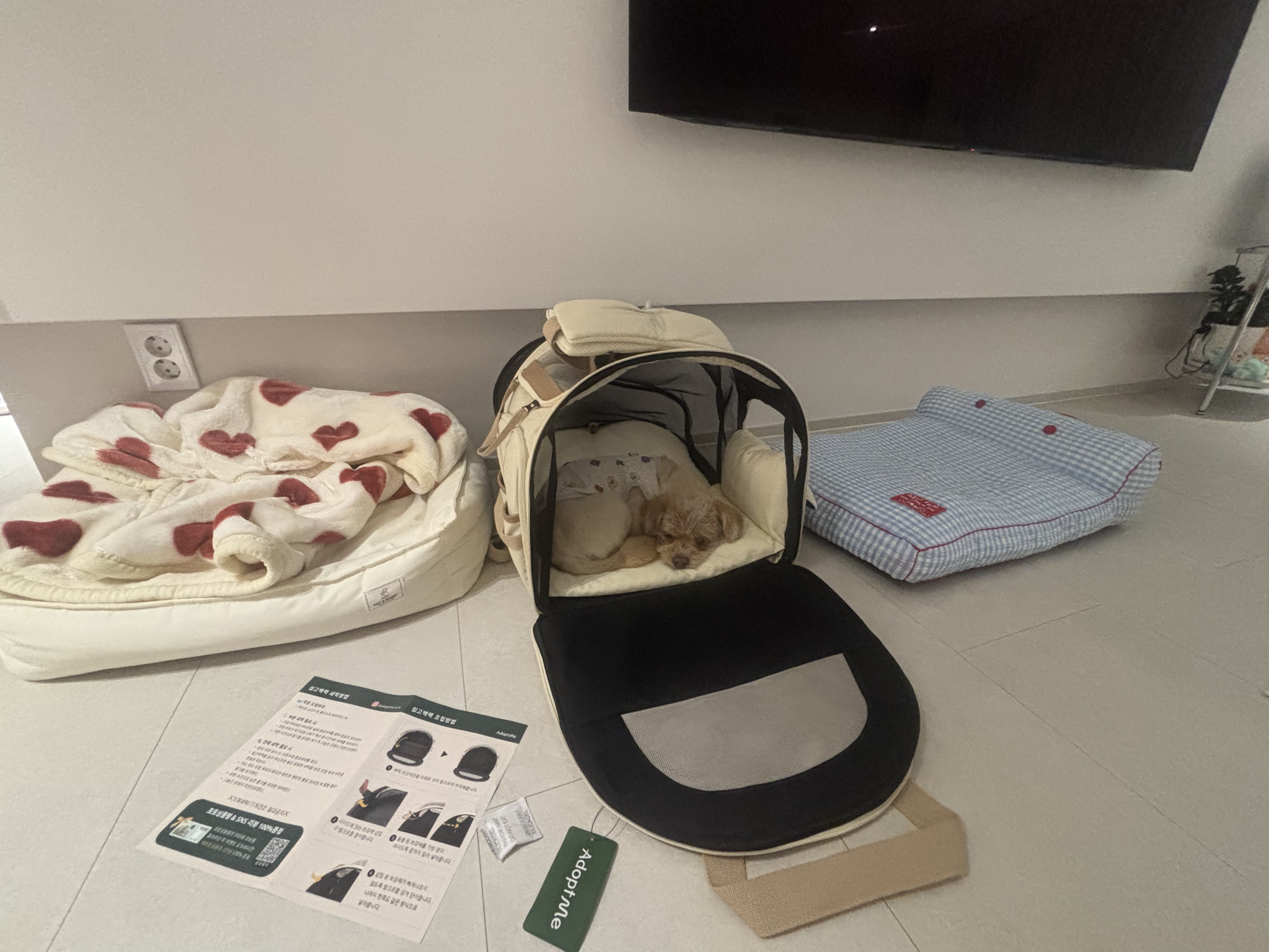 64ff85ac7464d.jpeg