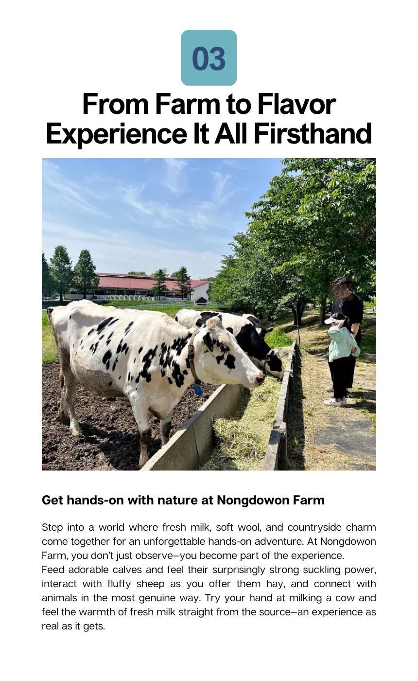 Romantic Gangneung Tour (1N2D)